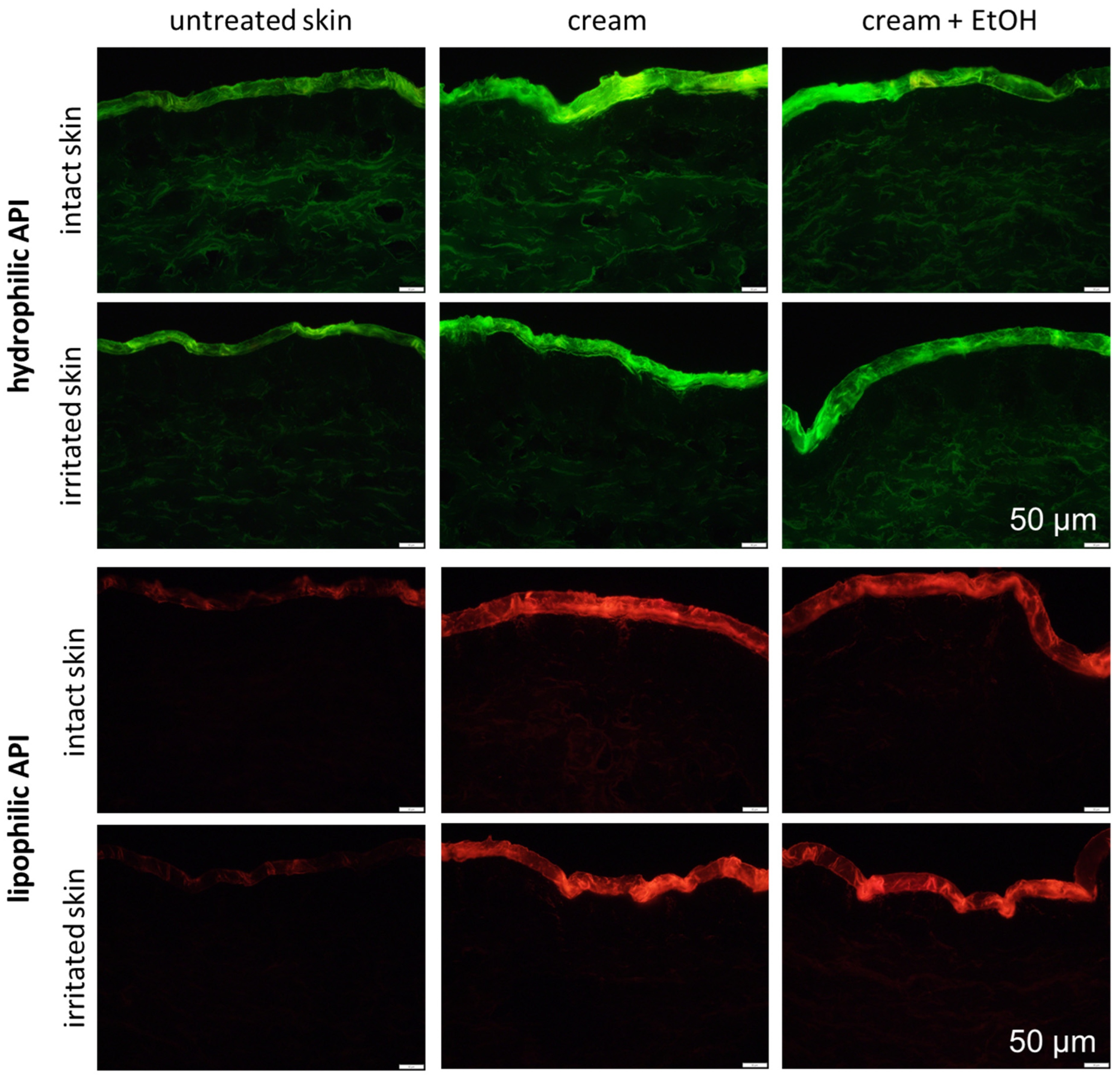 Pharmaceutics 17 00196 g004