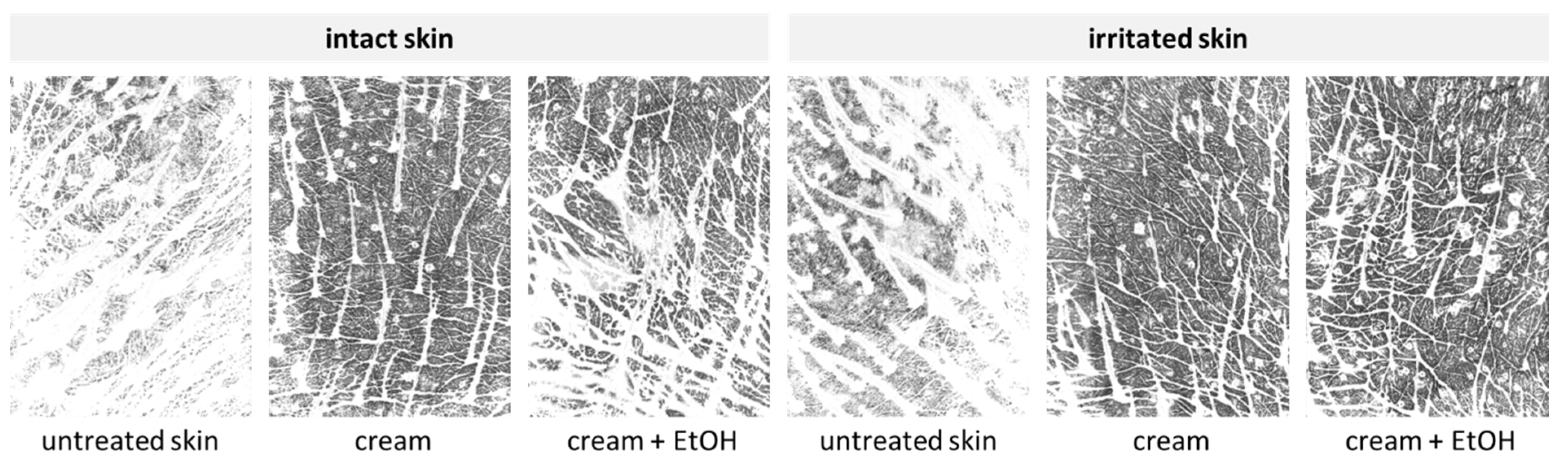 Pharmaceutics 17 00196 g008