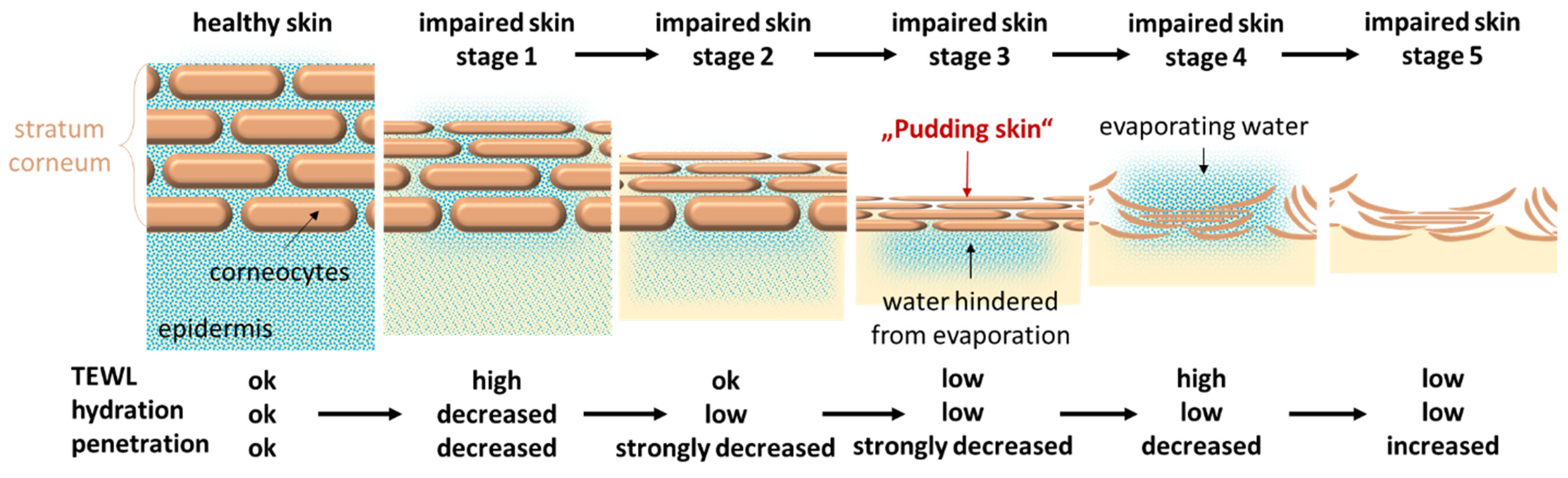Pharmaceutics 17 00196 g011