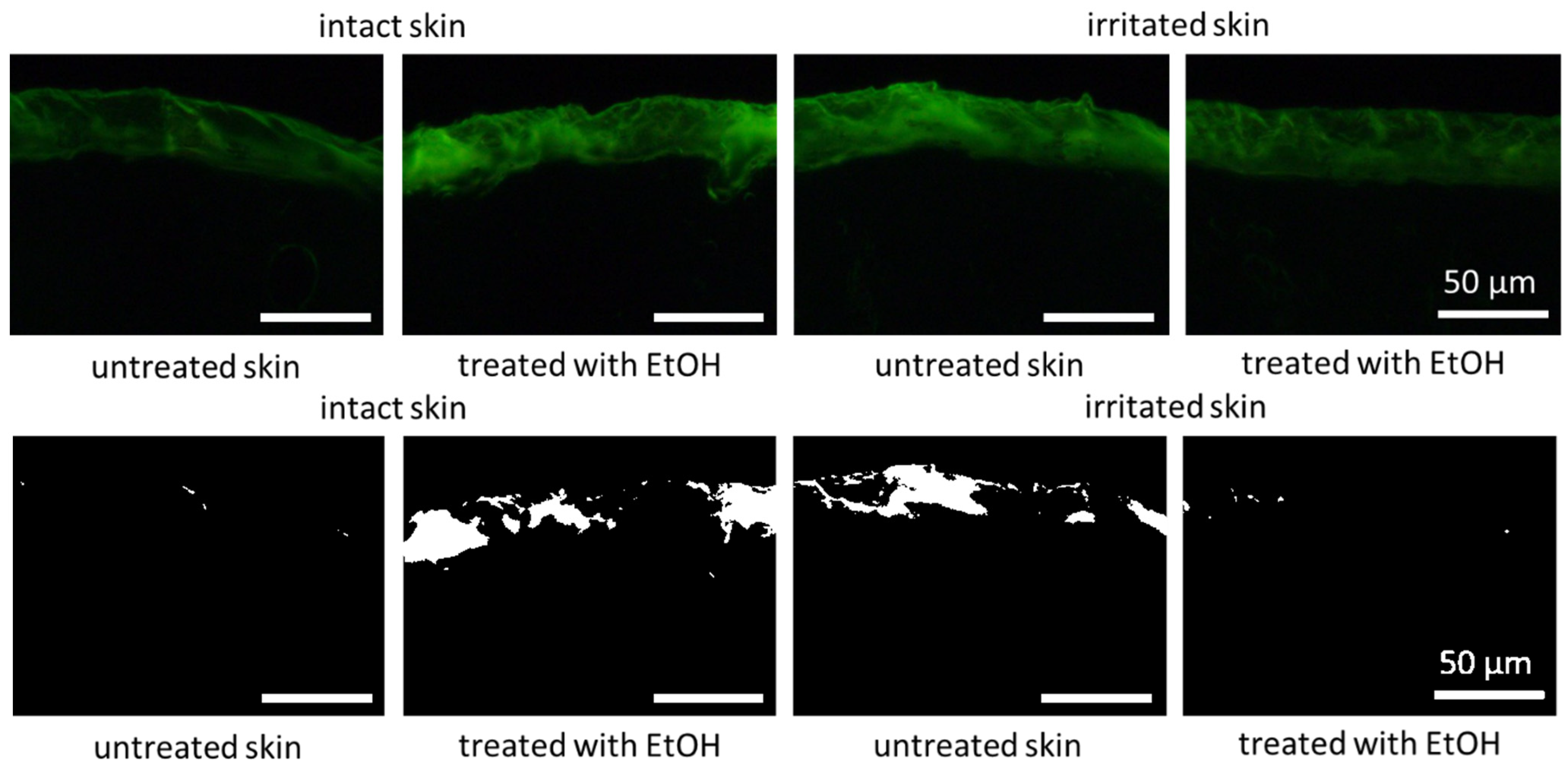 Pharmaceutics 17 00196 g013