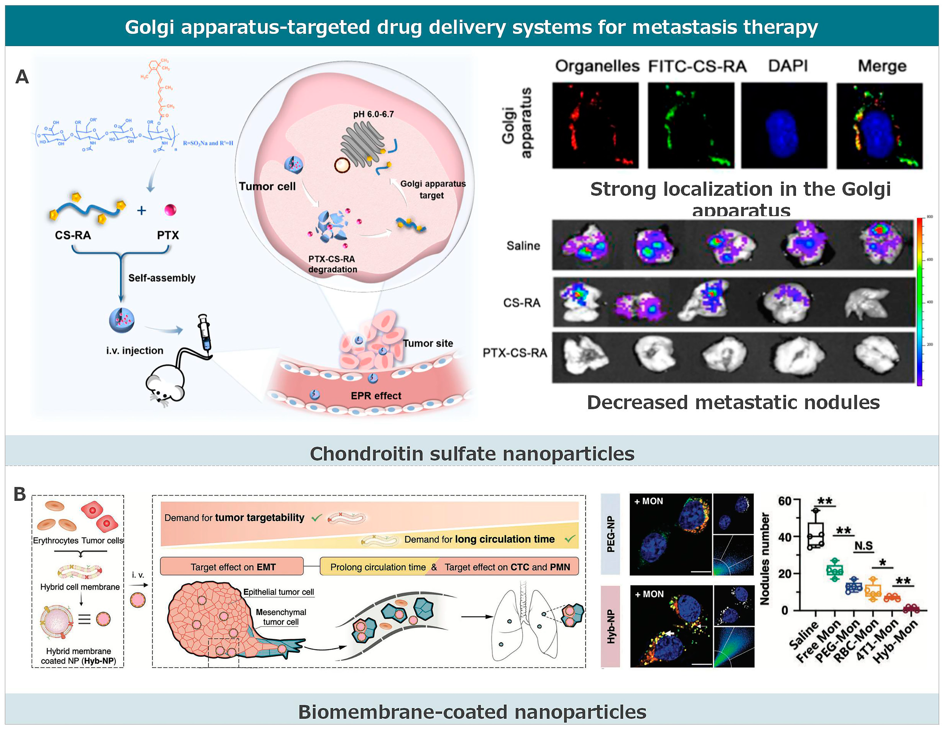 Pharmaceutics 17 00198 g005