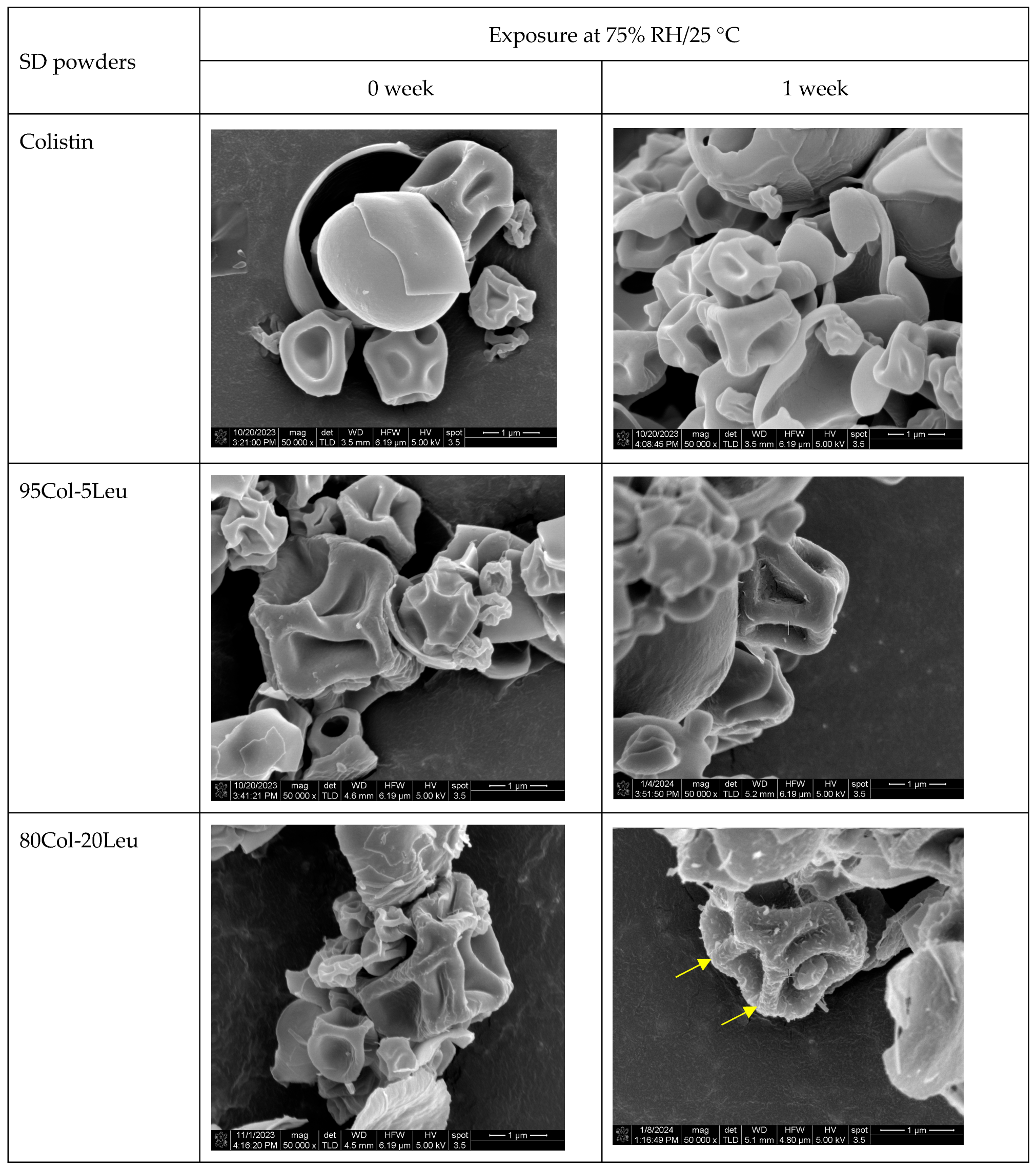 Pharmaceutics 17 00199 g002a Pharmaceutics 17 00199 g002a
