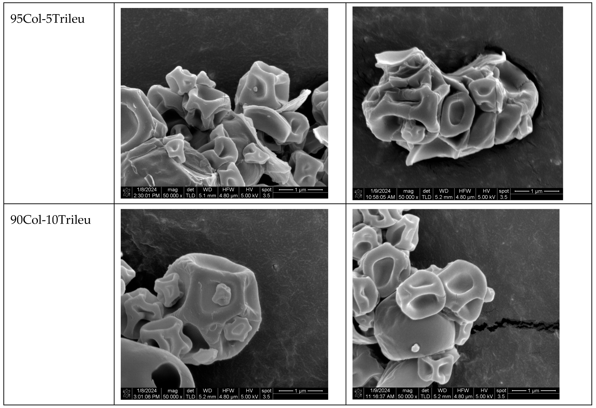Pharmaceutics 17 00199 g002b Pharmaceutics 17 00199 g002b