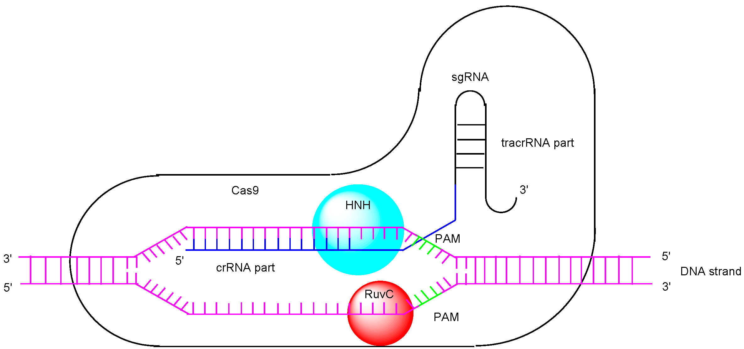 Pharmaceutics 17 00201 g002