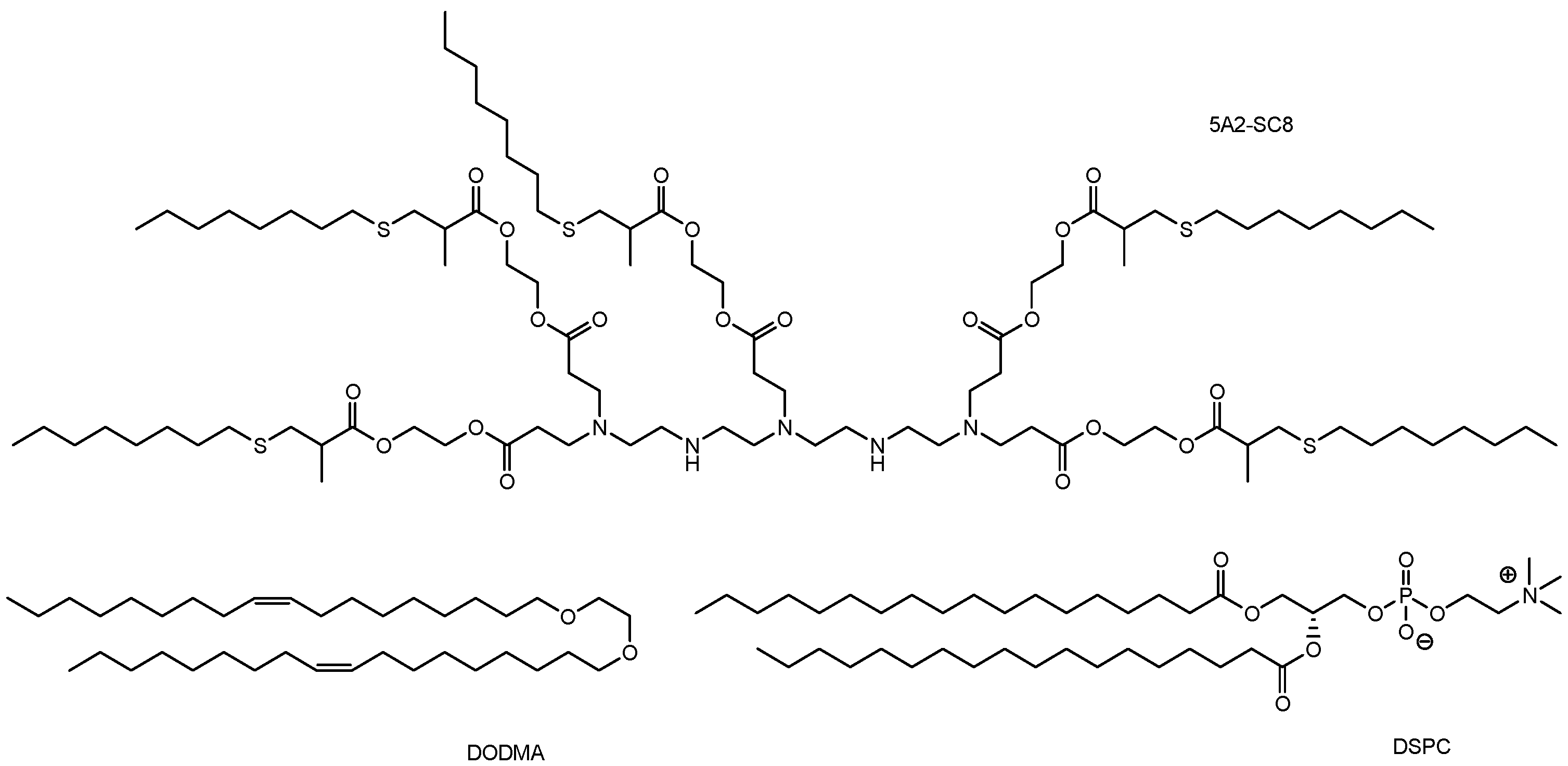 Pharmaceutics 17 00201 g006