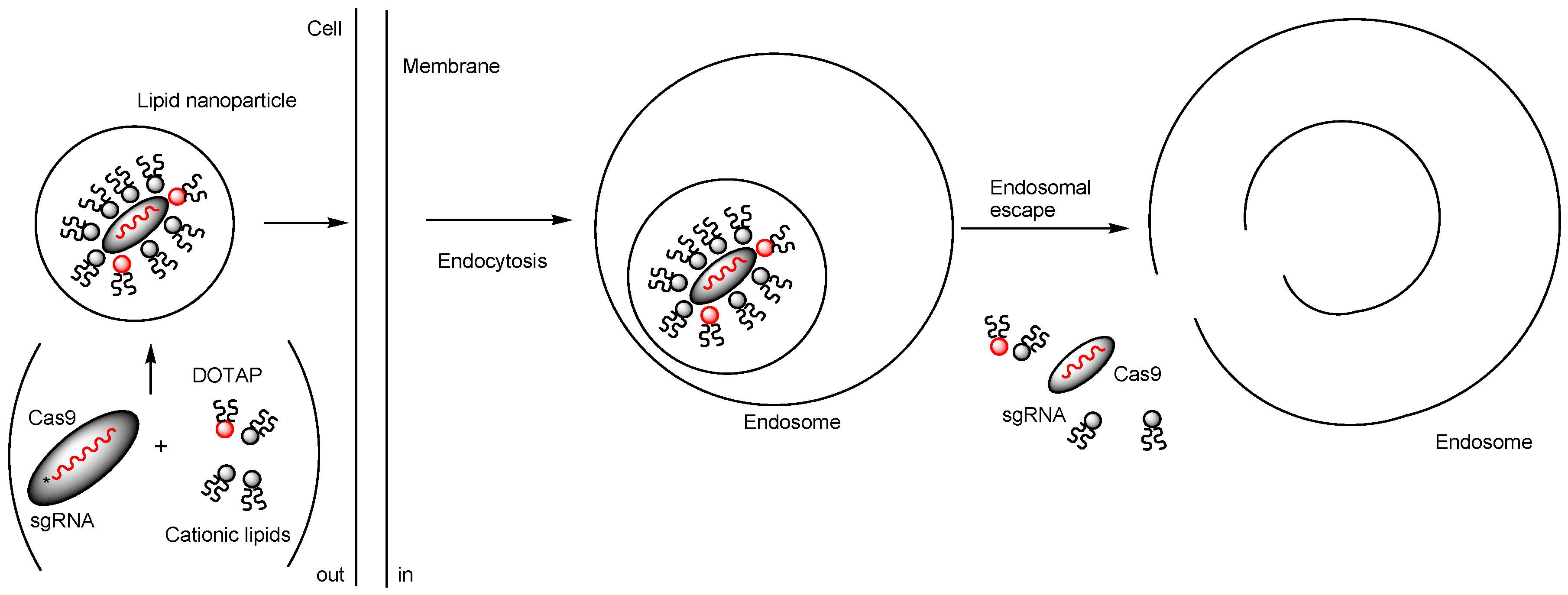 Pharmaceutics 17 00201 g007