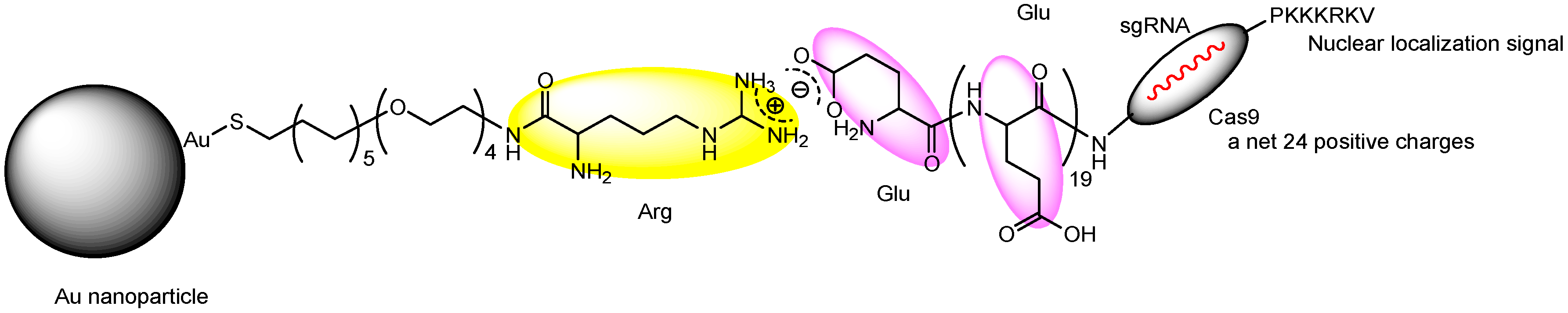 Pharmaceutics 17 00201 g008