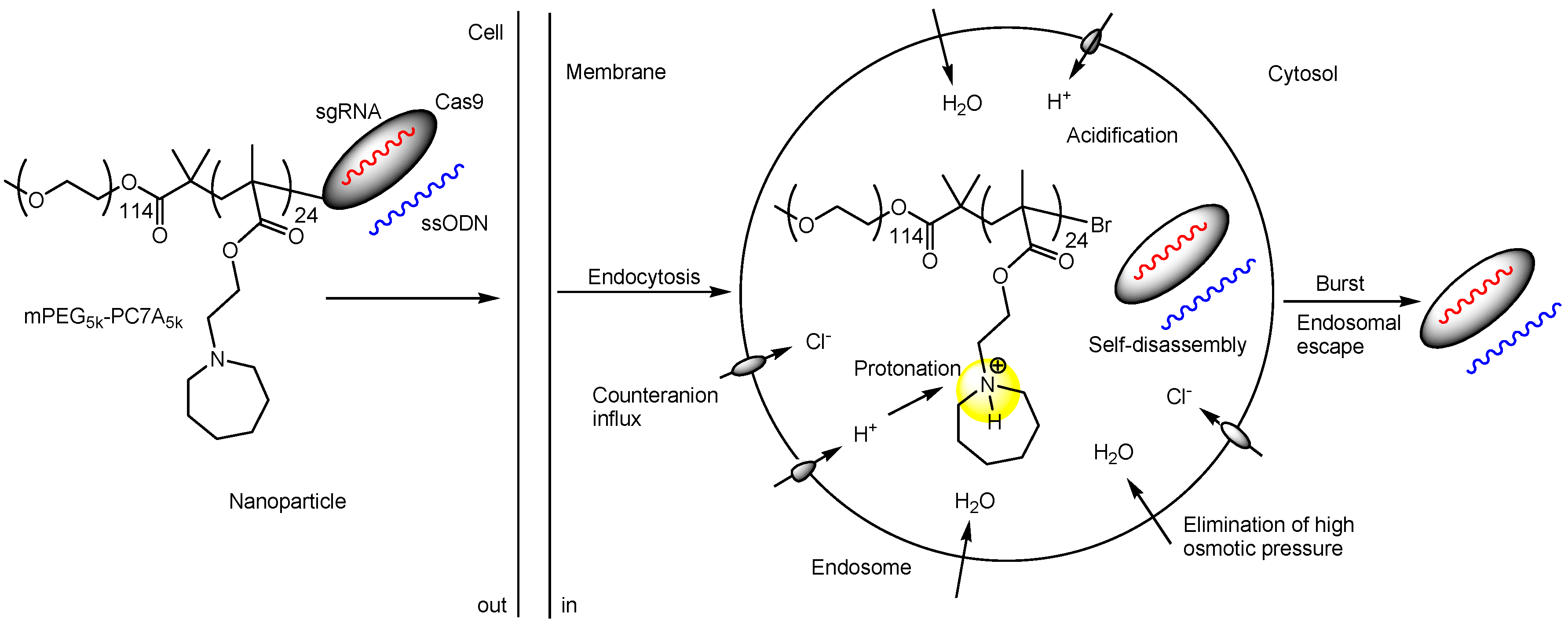 Pharmaceutics 17 00201 g009