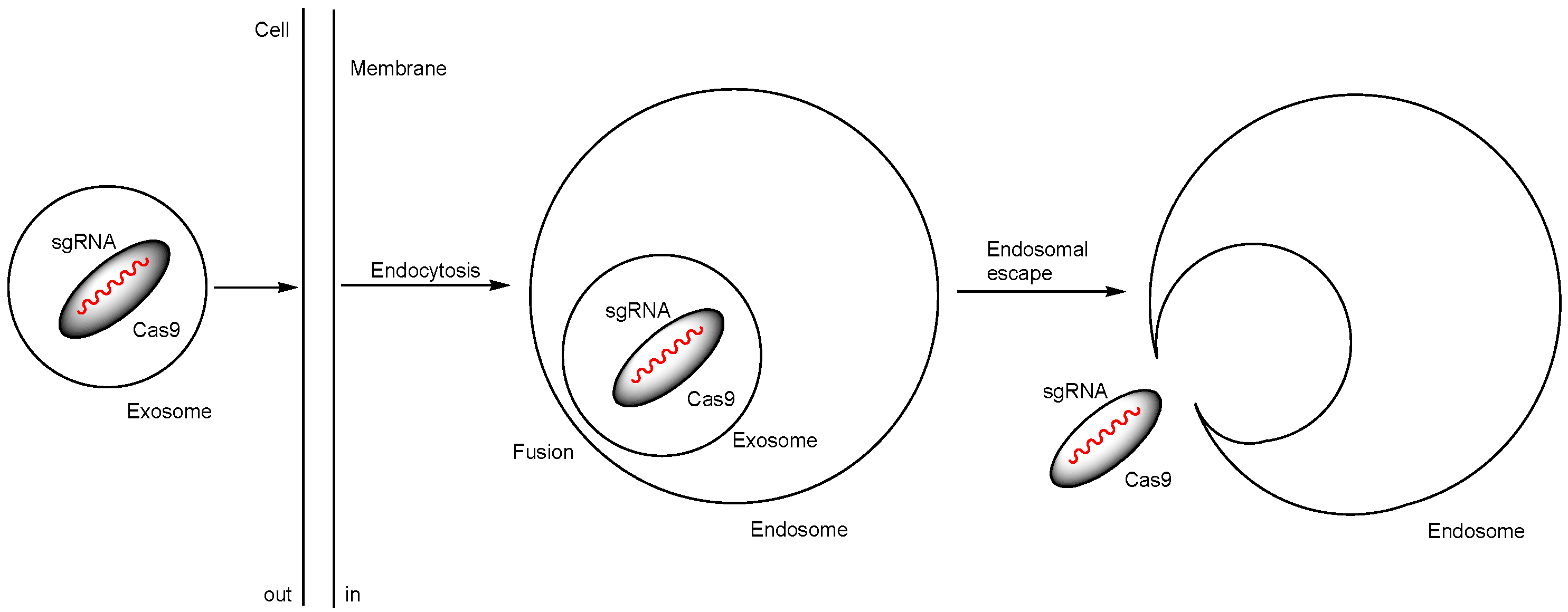 Pharmaceutics 17 00201 g010