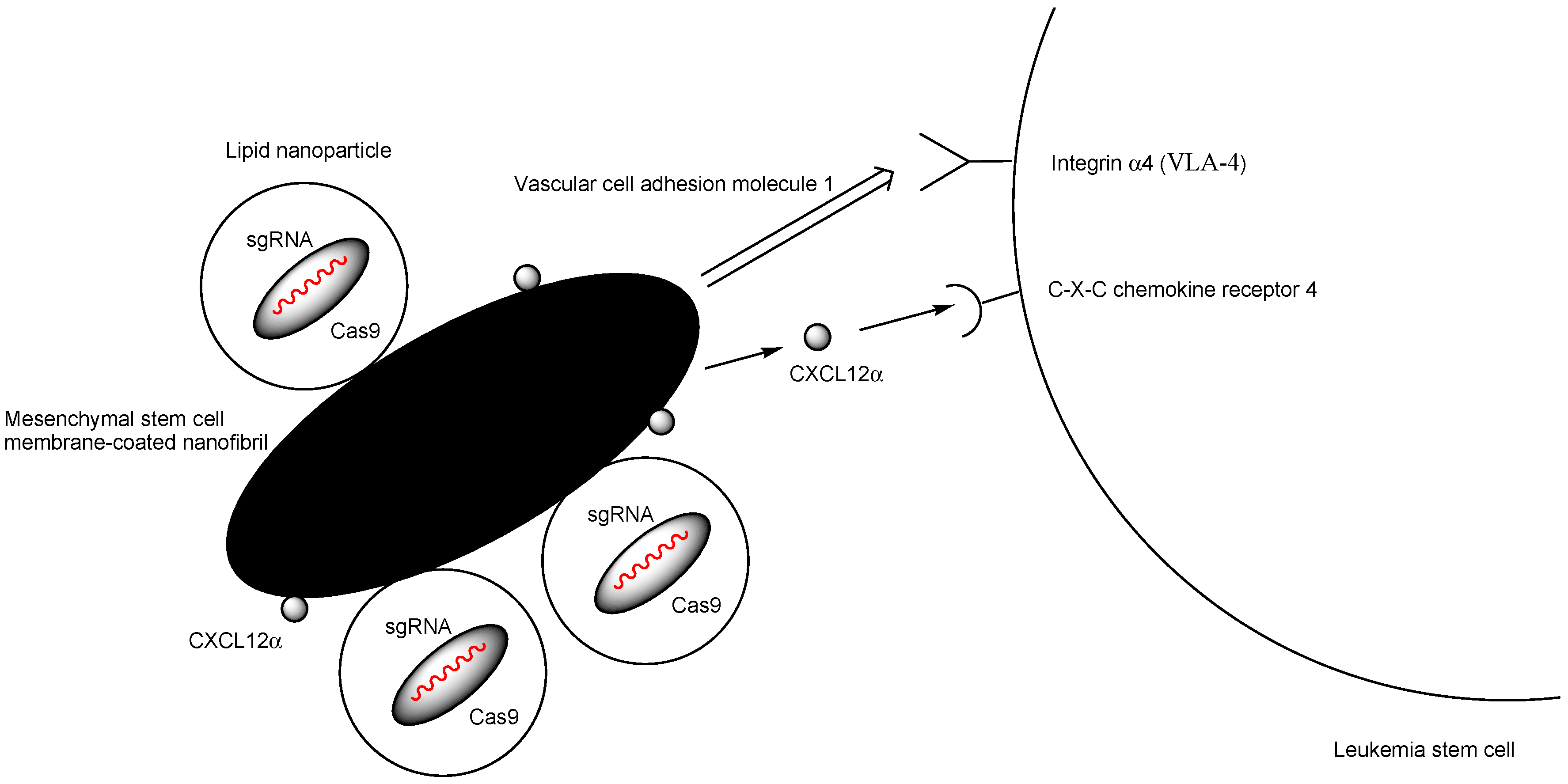 Pharmaceutics 17 00201 g011