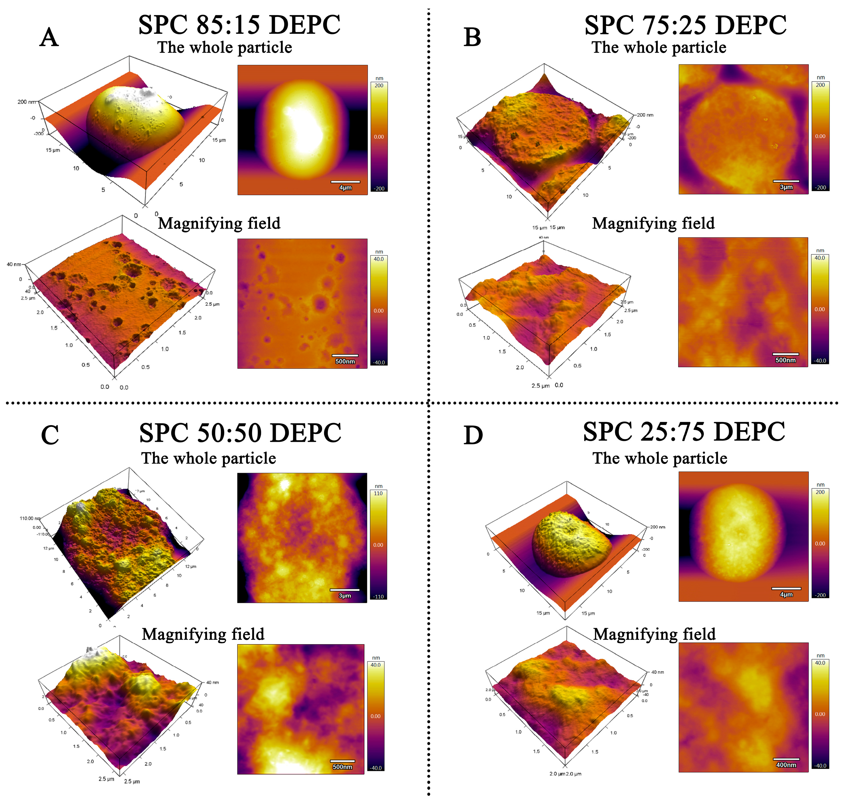 Pharmaceutics 17 00203 g004