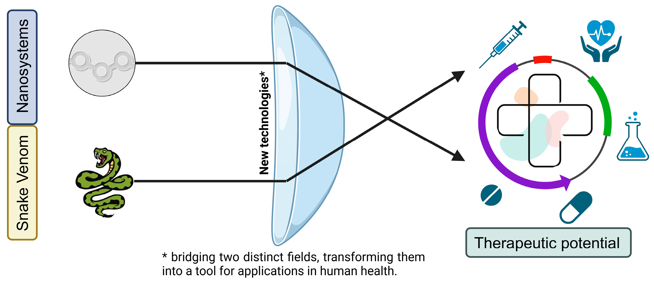 Pharmaceutics 17 00204 g001 Pharmaceutics 17 00204 g001