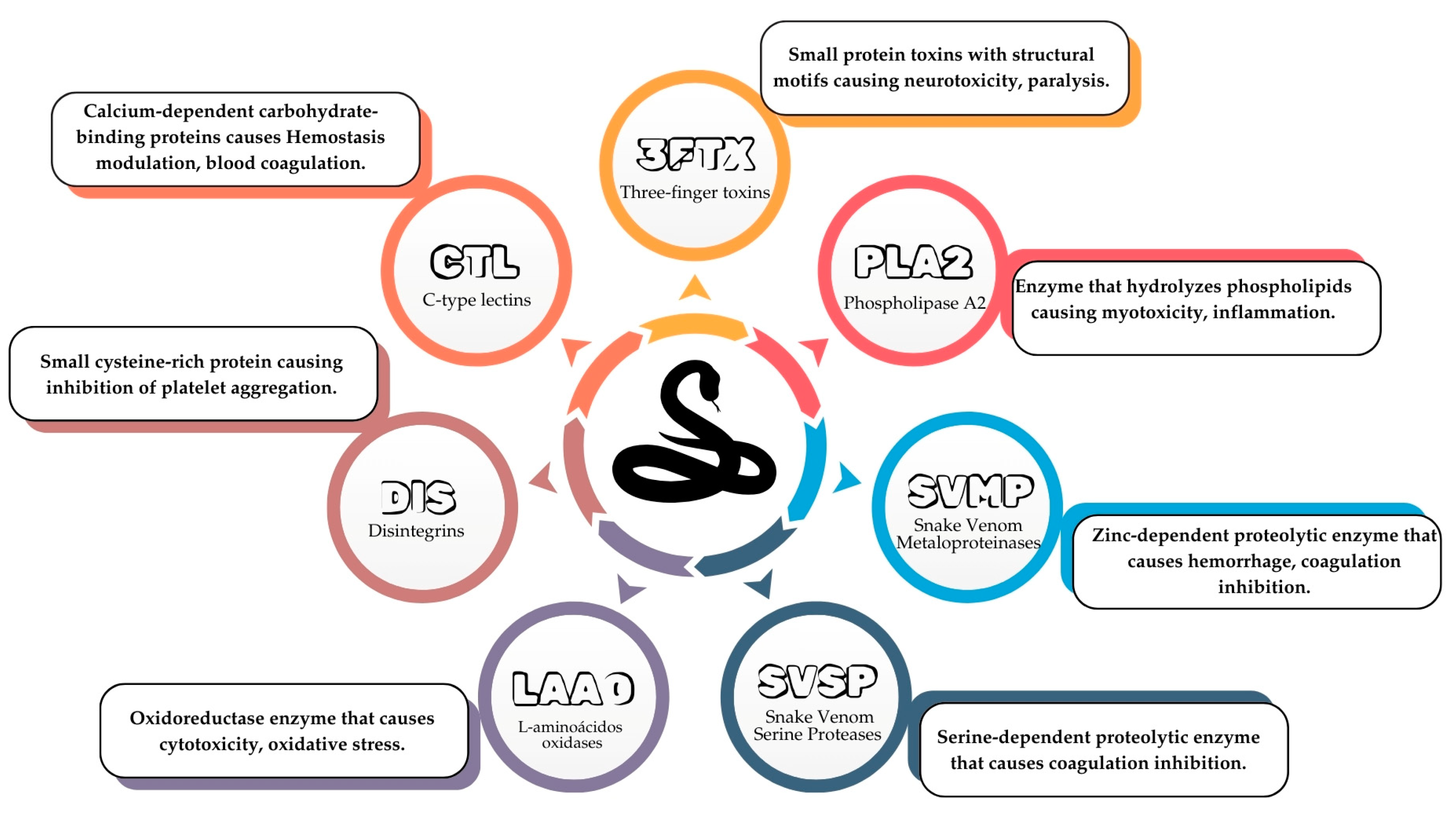 Pharmaceutics 17 00204 g002 Pharmaceutics 17 00204 g002