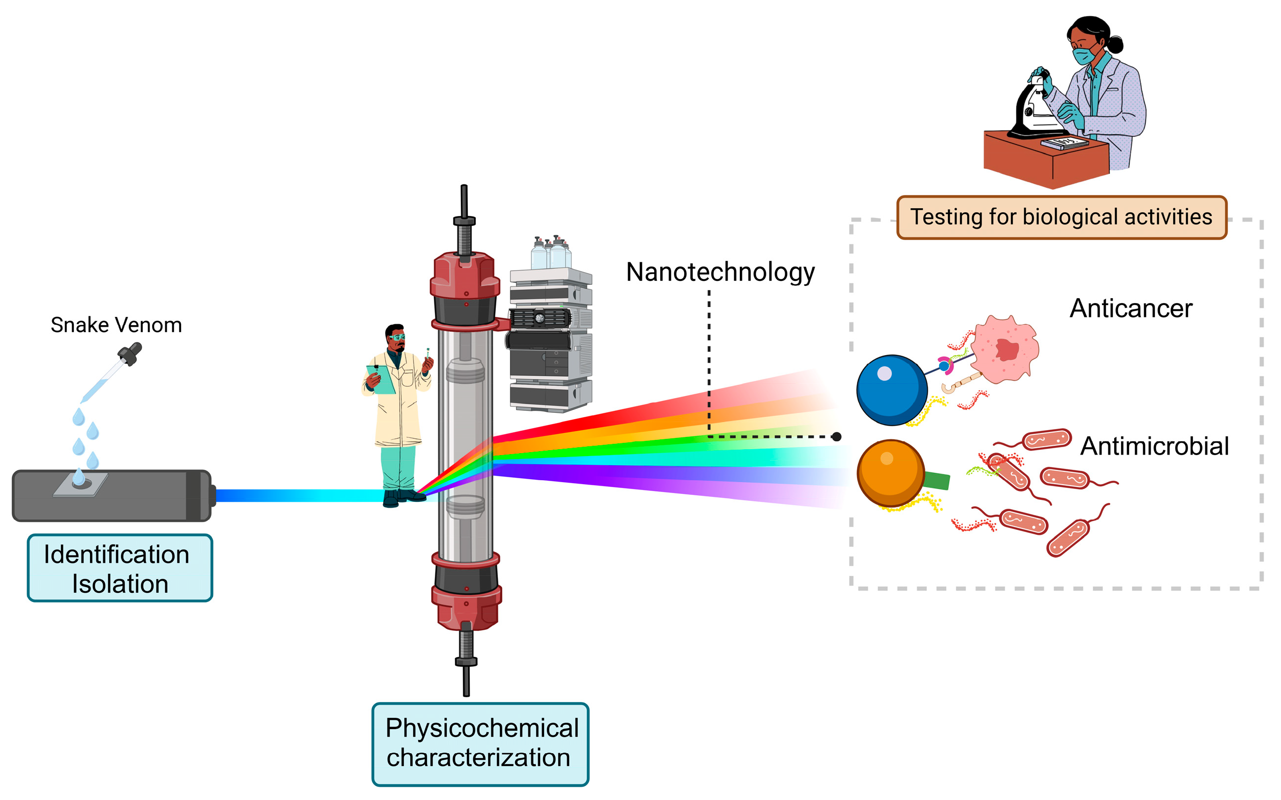 Pharmaceutics 17 00204 g003 Pharmaceutics 17 00204 g003