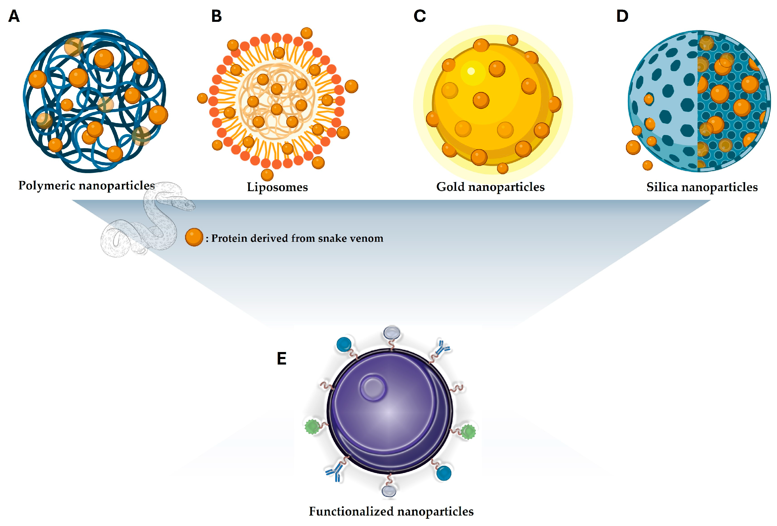 Pharmaceutics 17 00204 g004 Pharmaceutics 17 00204 g004