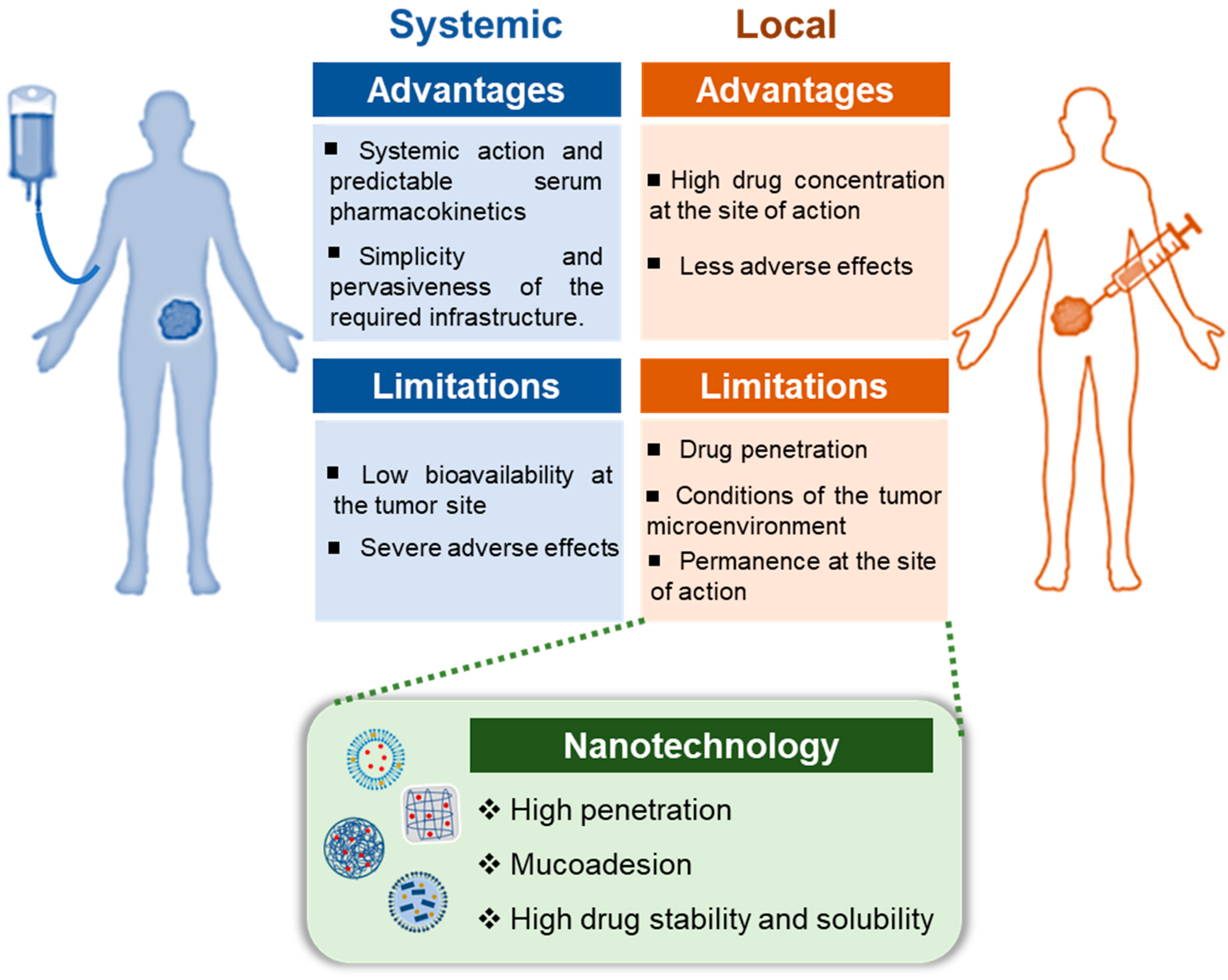 Pharmaceutics 17 00205 g001