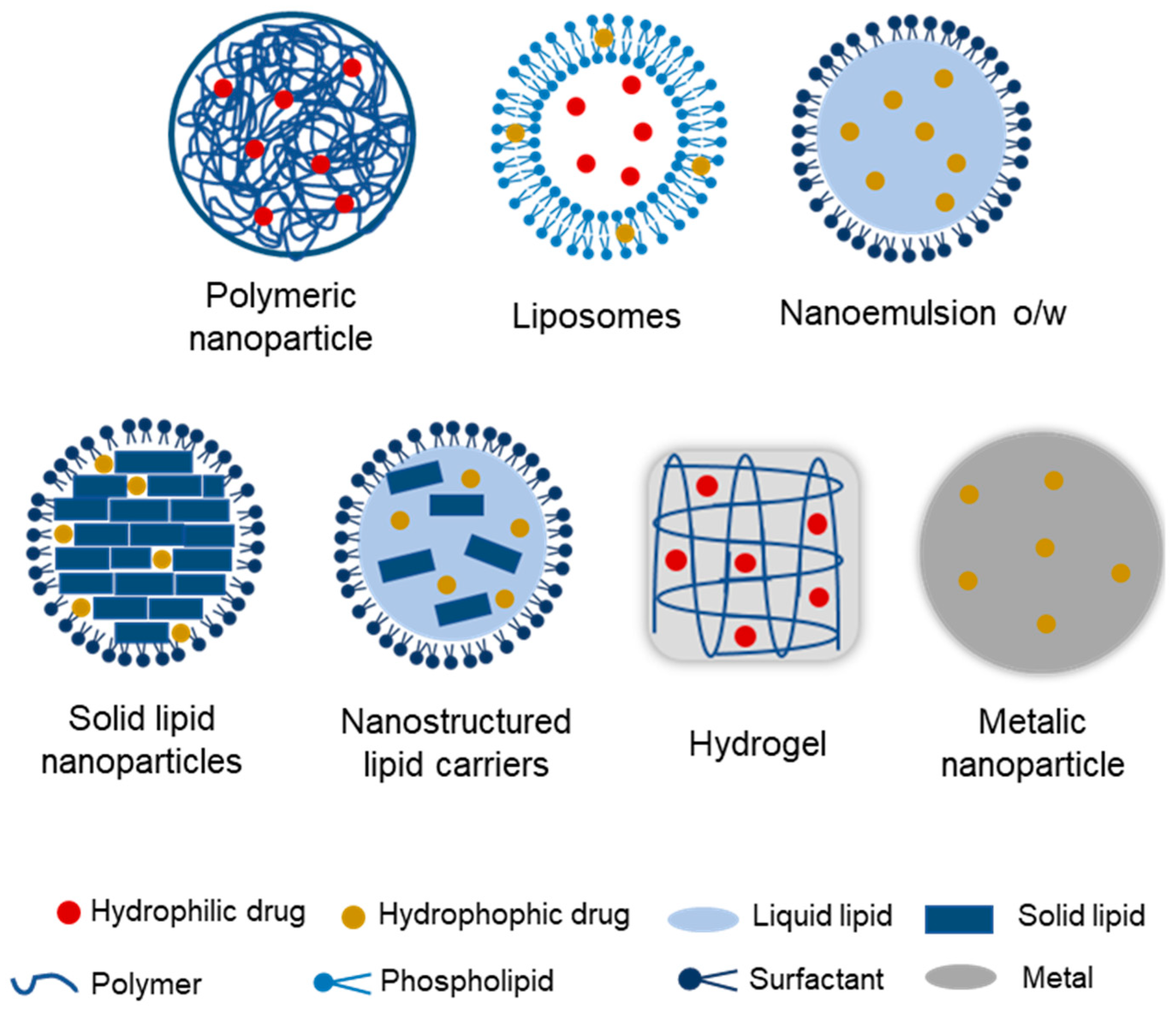 Pharmaceutics 17 00205 g002