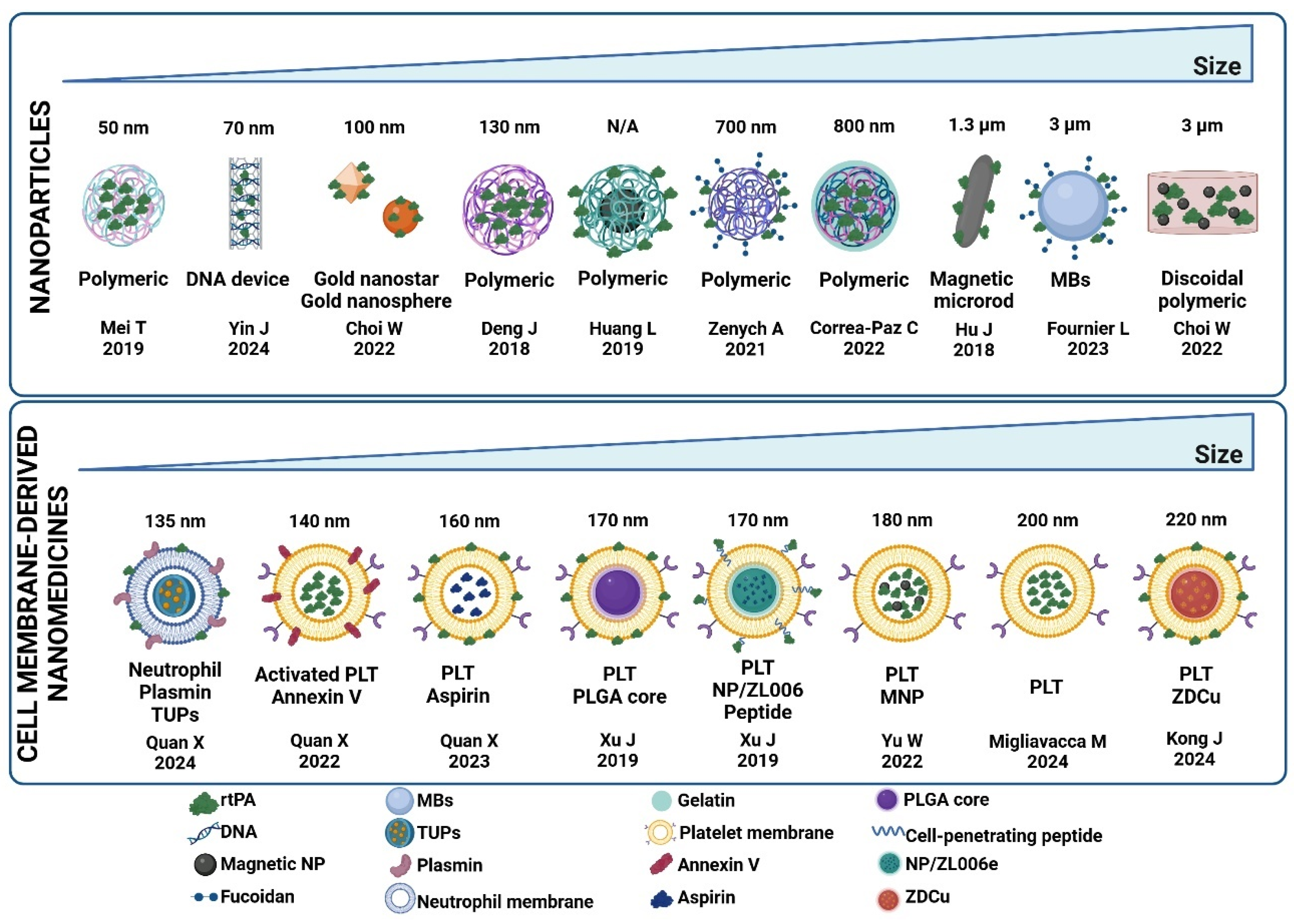 Pharmaceutics 17 00208 g005