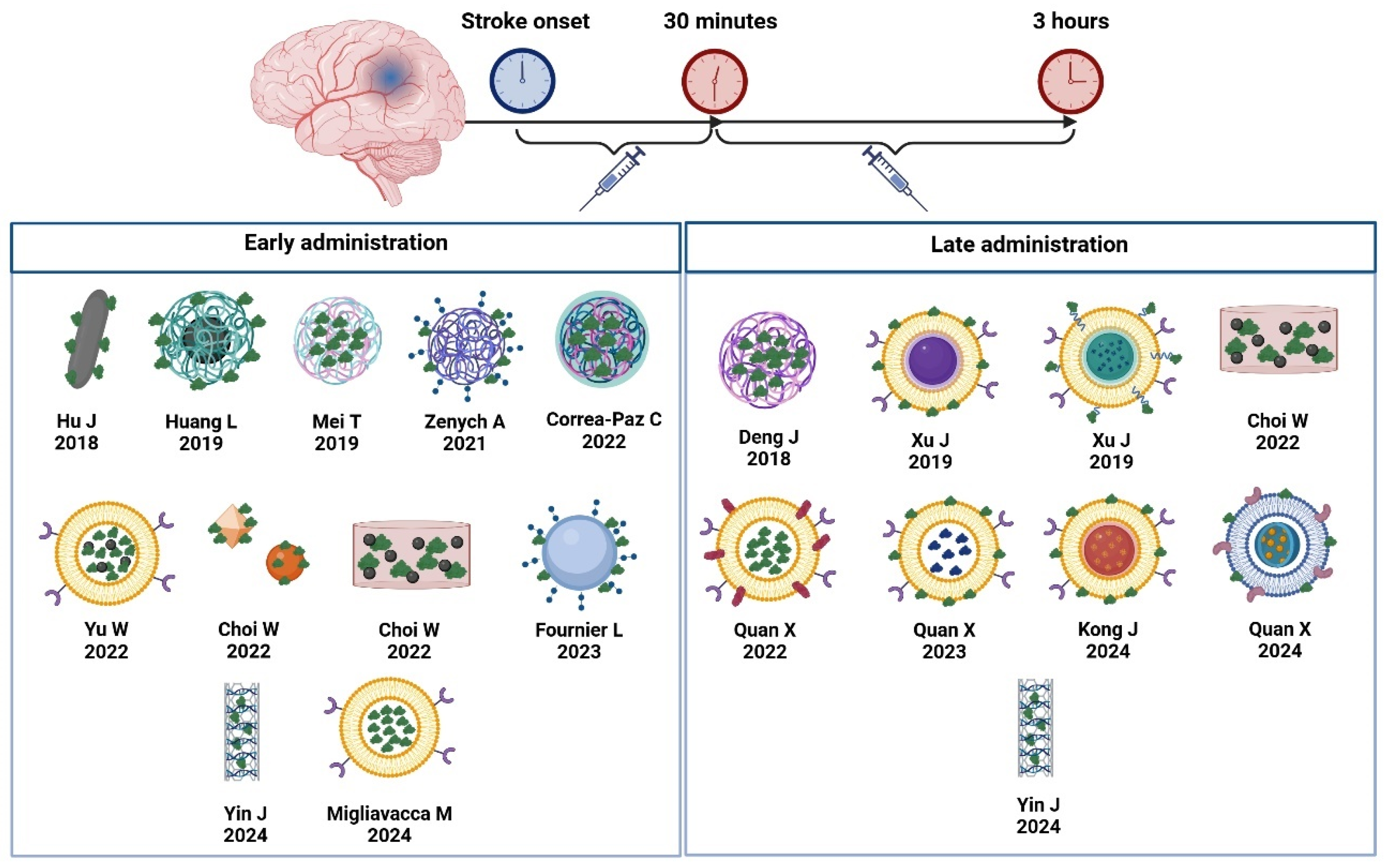 Pharmaceutics 17 00208 g006
