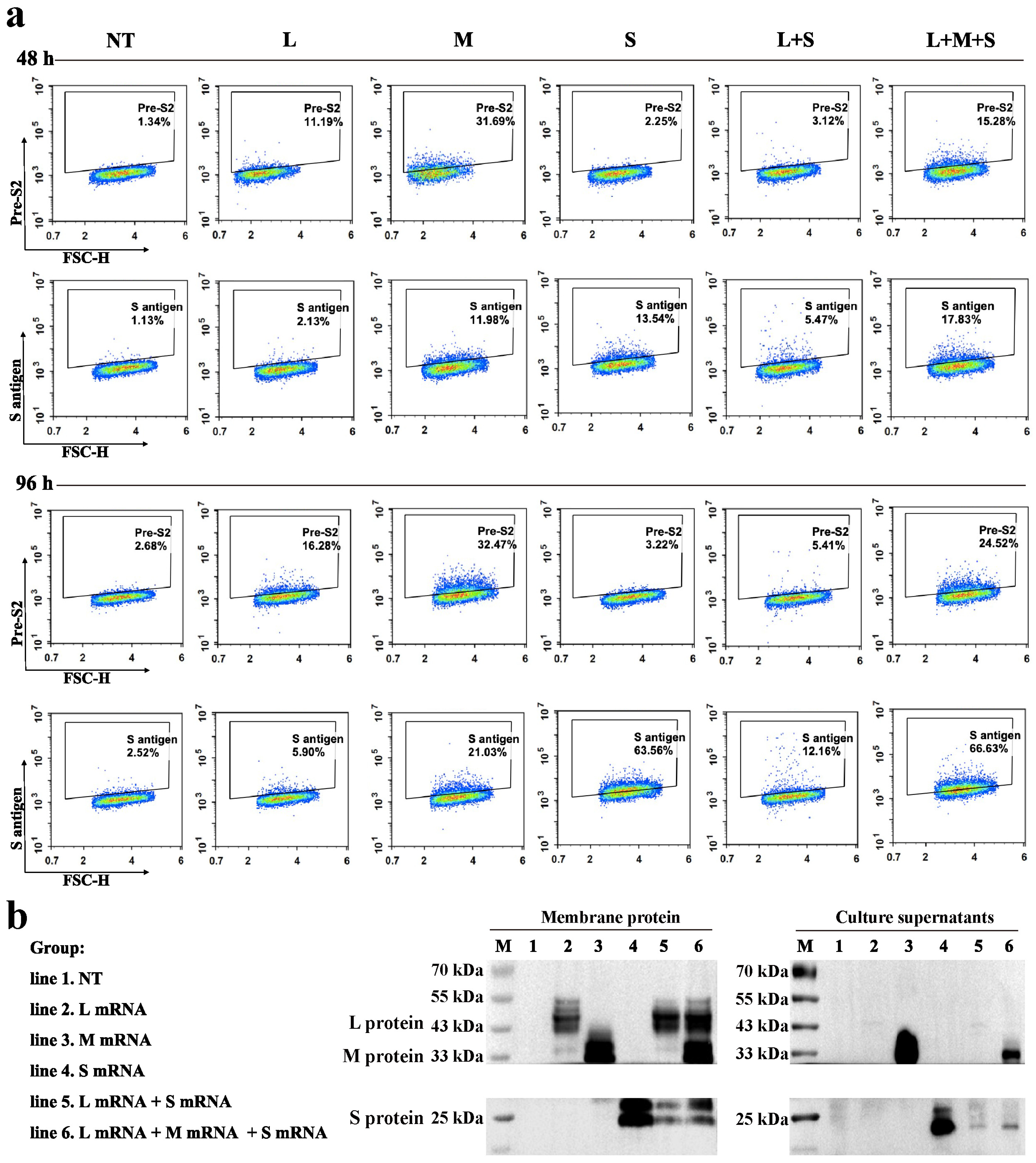 Pharmaceutics 17 00211 g001