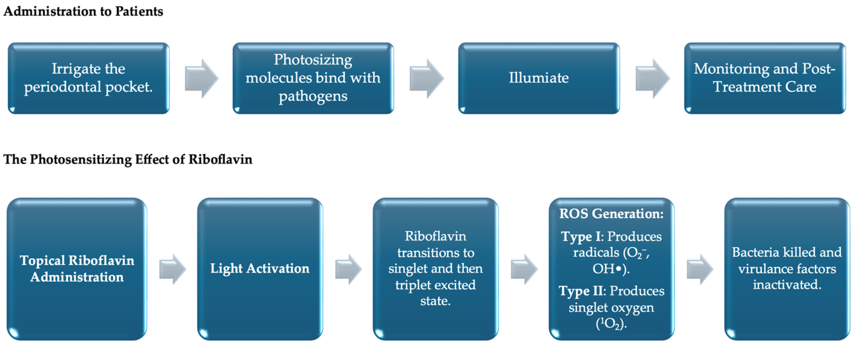 Pharmaceutics 17 00217 g001