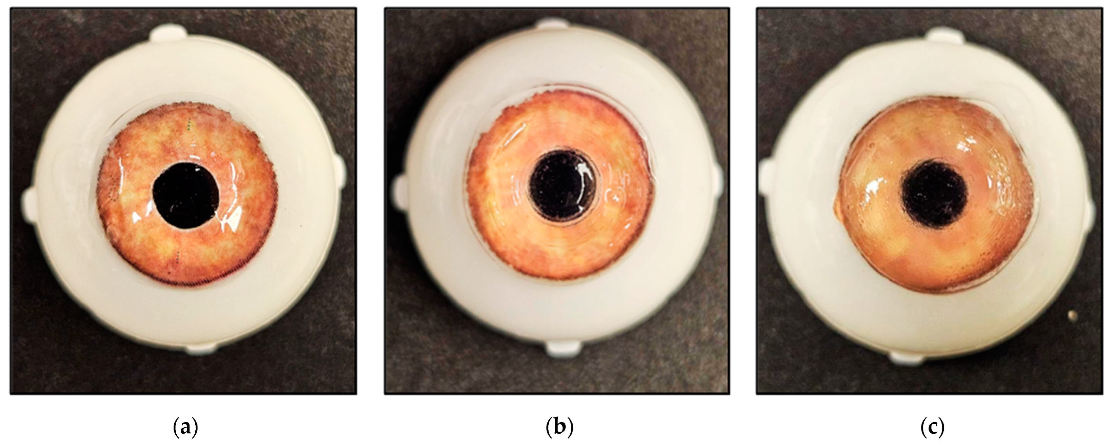 Pharmaceutics 17 00219 g001