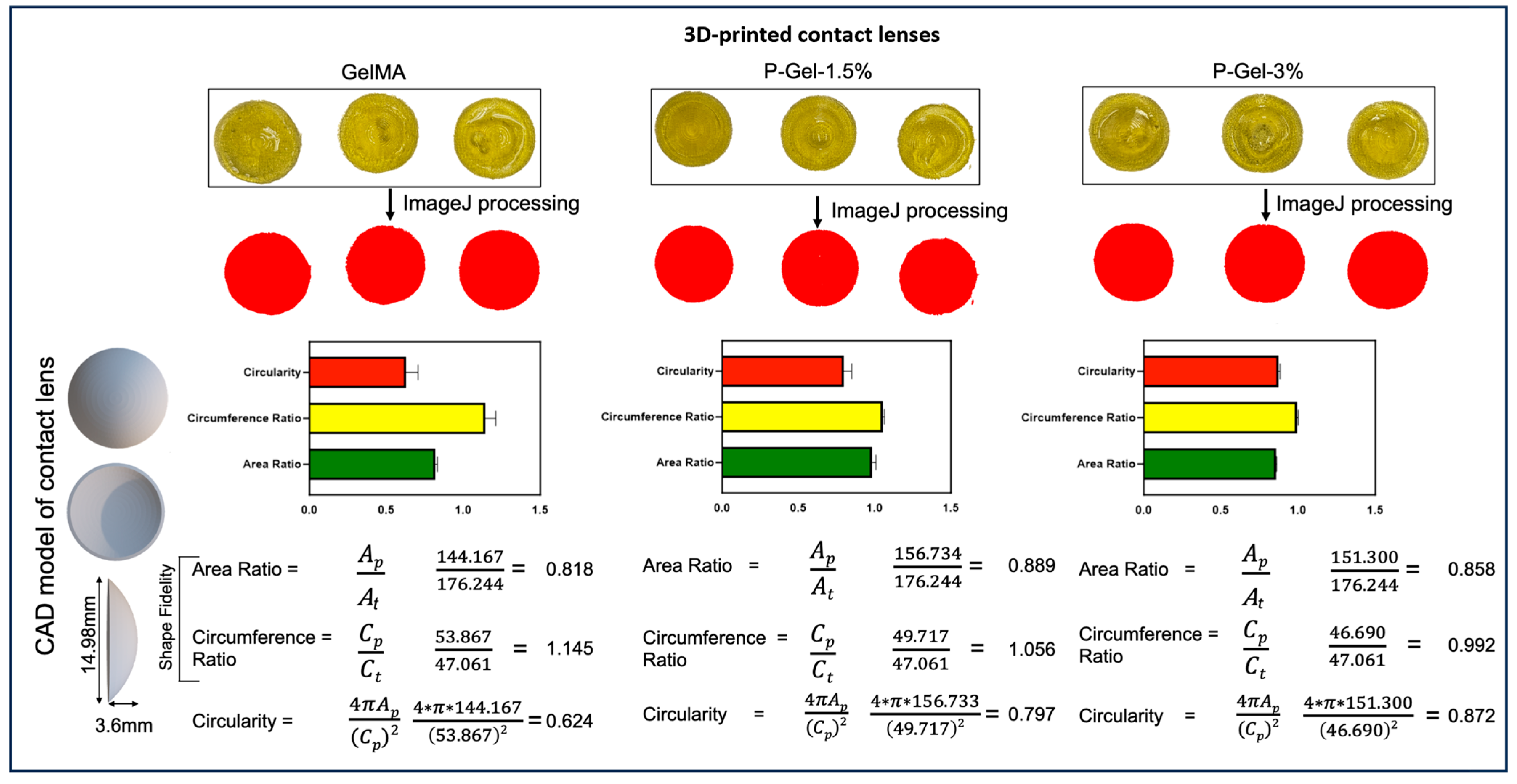 Pharmaceutics 17 00219 g003