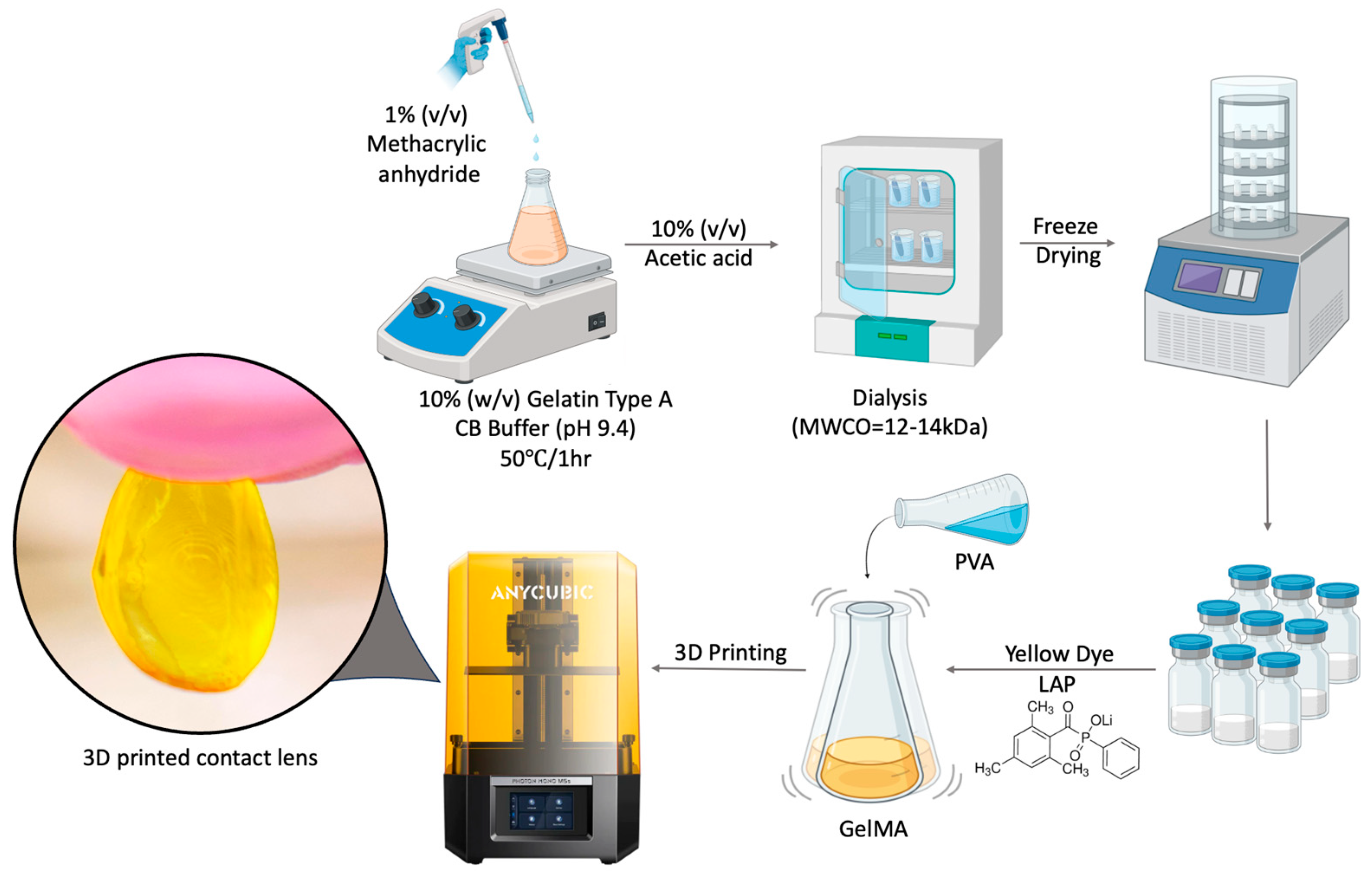 Pharmaceutics 17 00219 sch001
