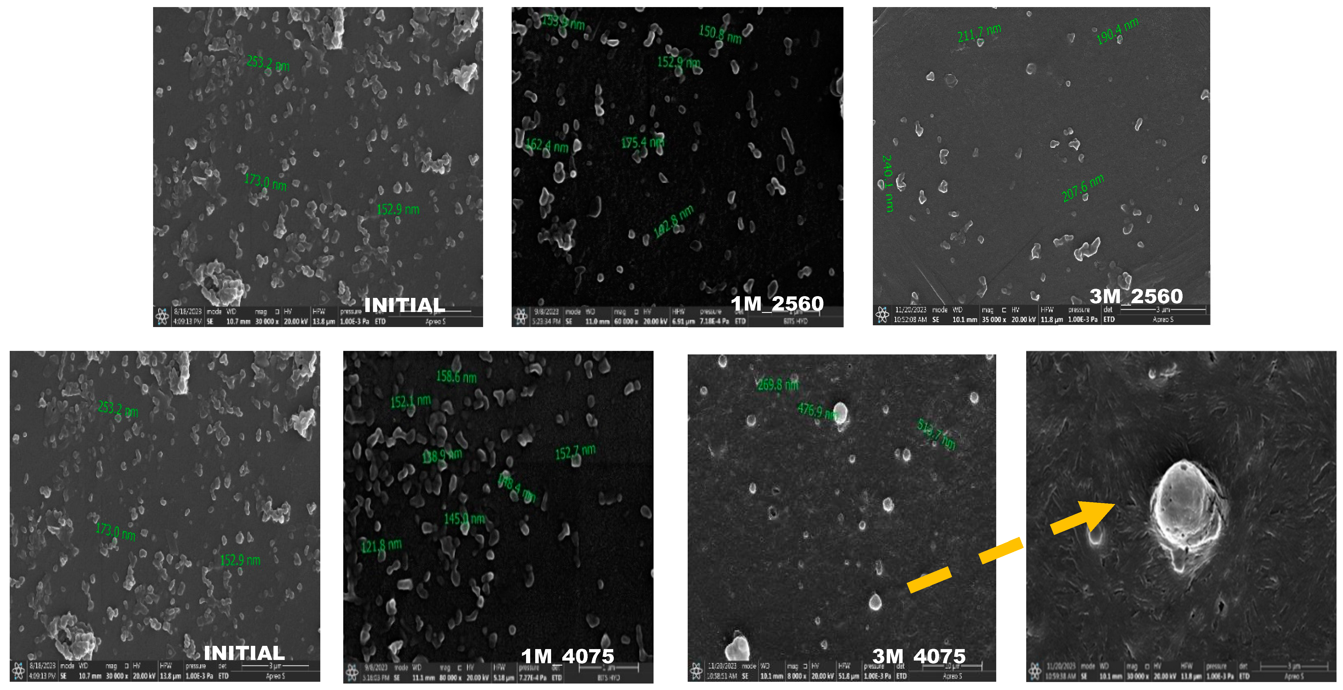 Pharmaceutics 17 00221 g007