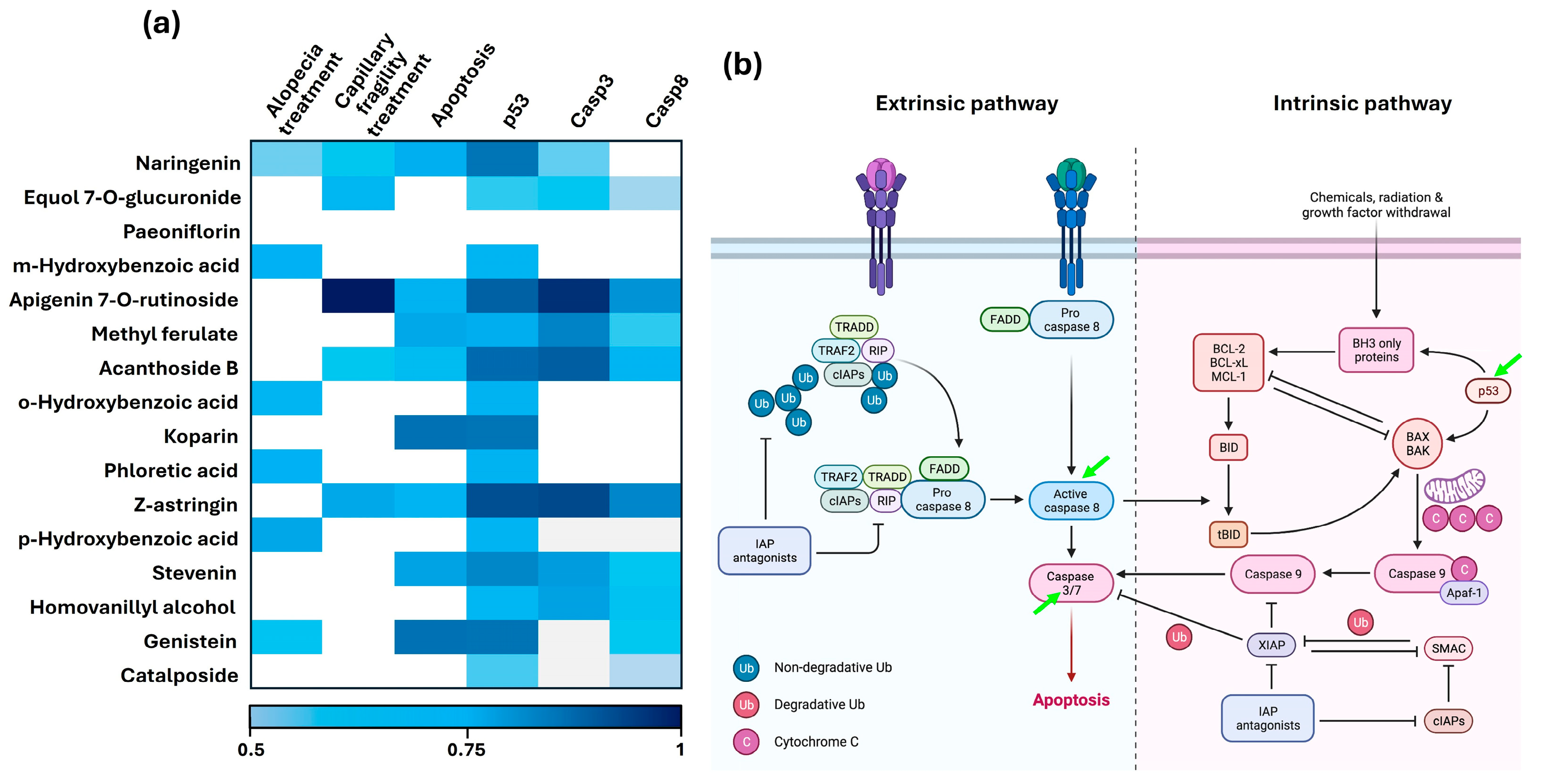 Pharmaceutics 17 00222 g001