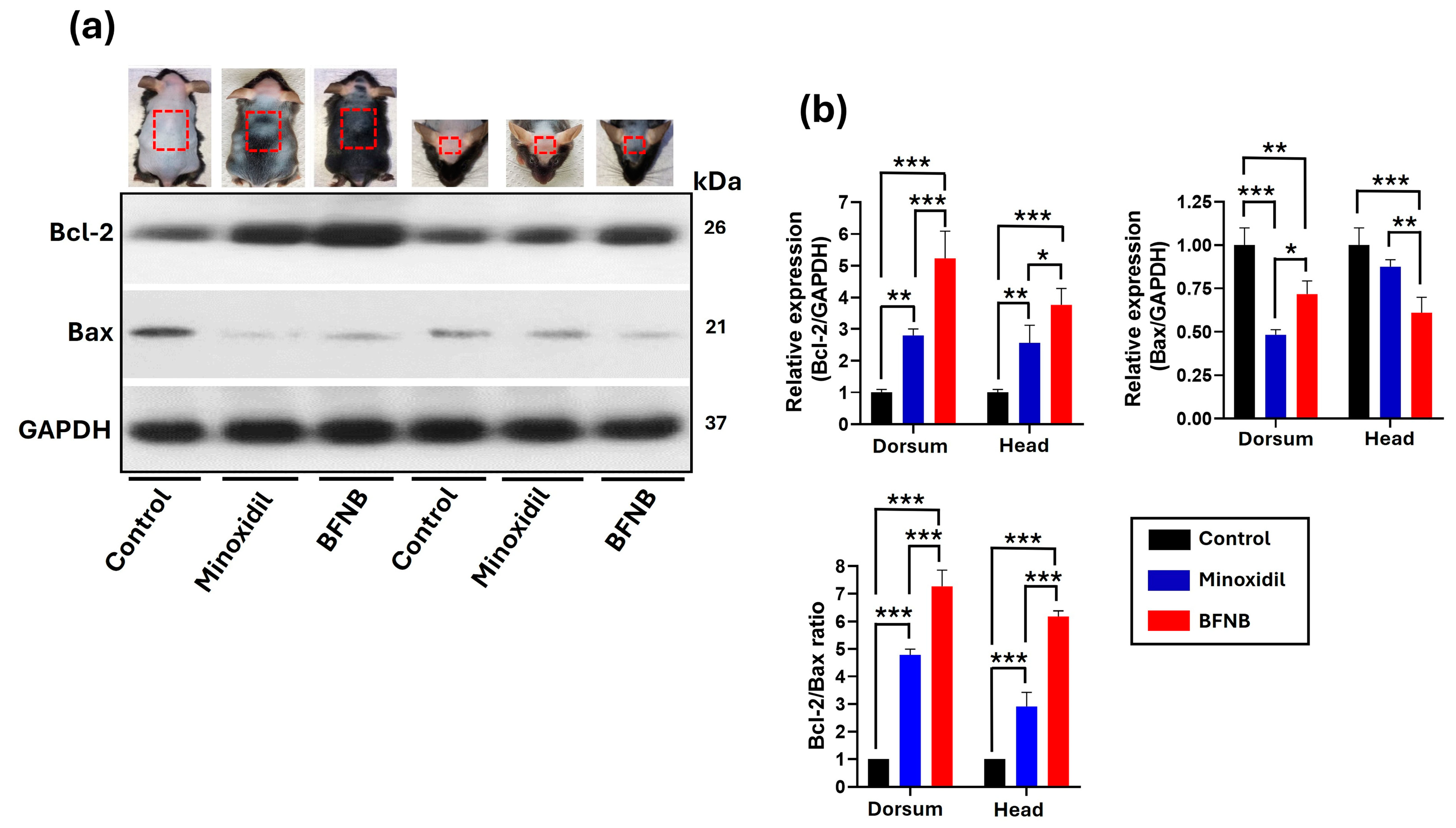 Pharmaceutics 17 00222 g003