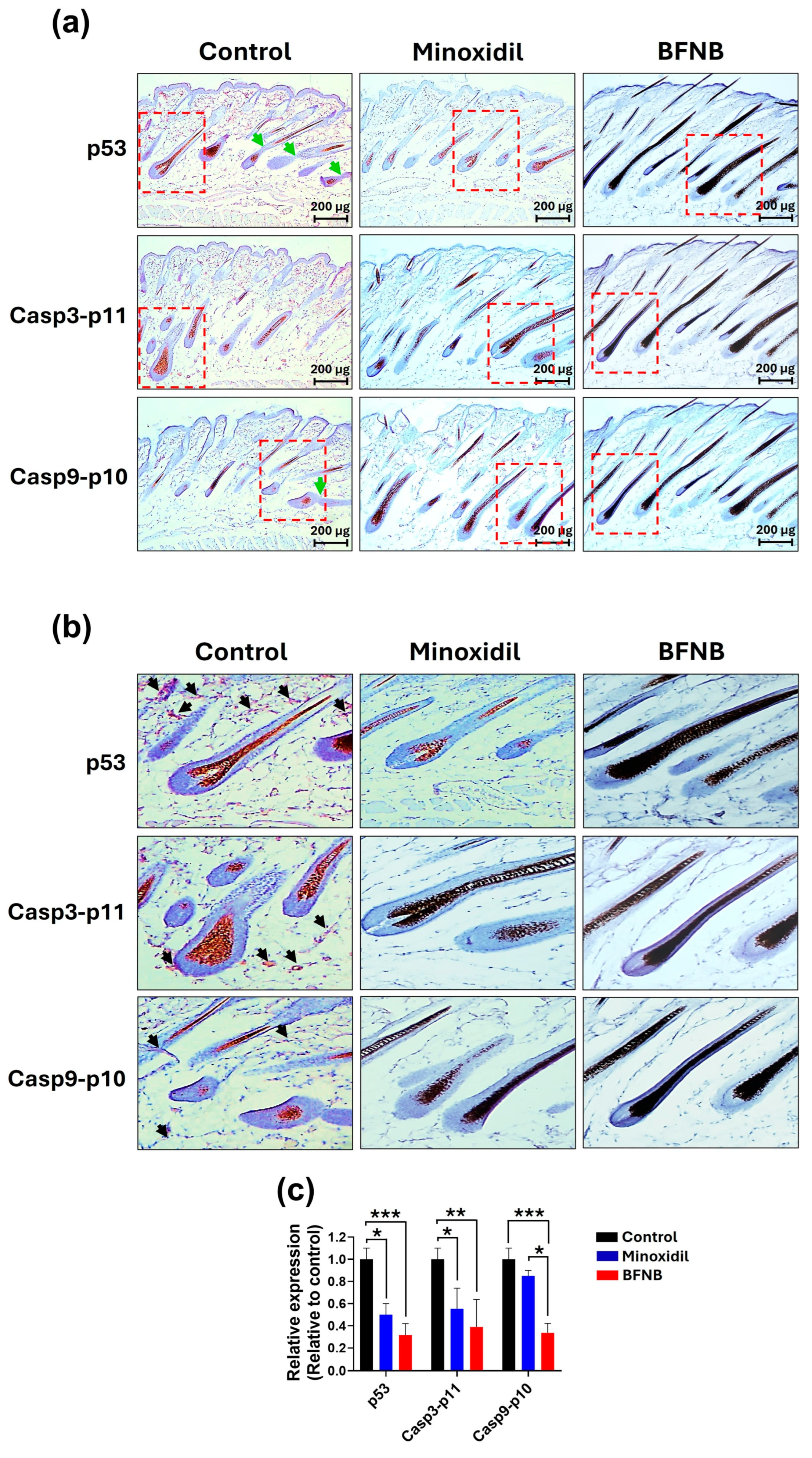 Pharmaceutics 17 00222 g004
