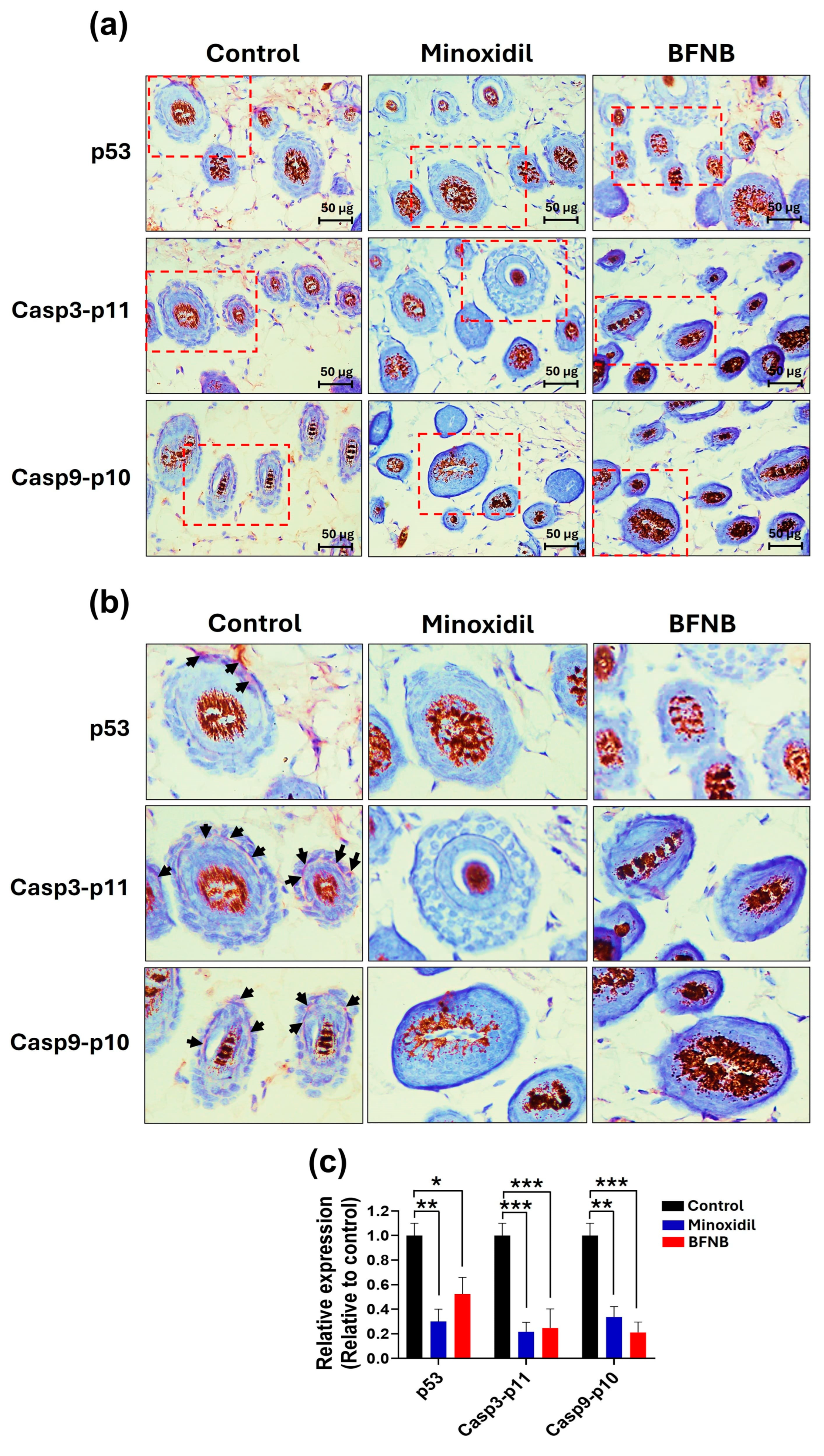 Pharmaceutics 17 00222 g005