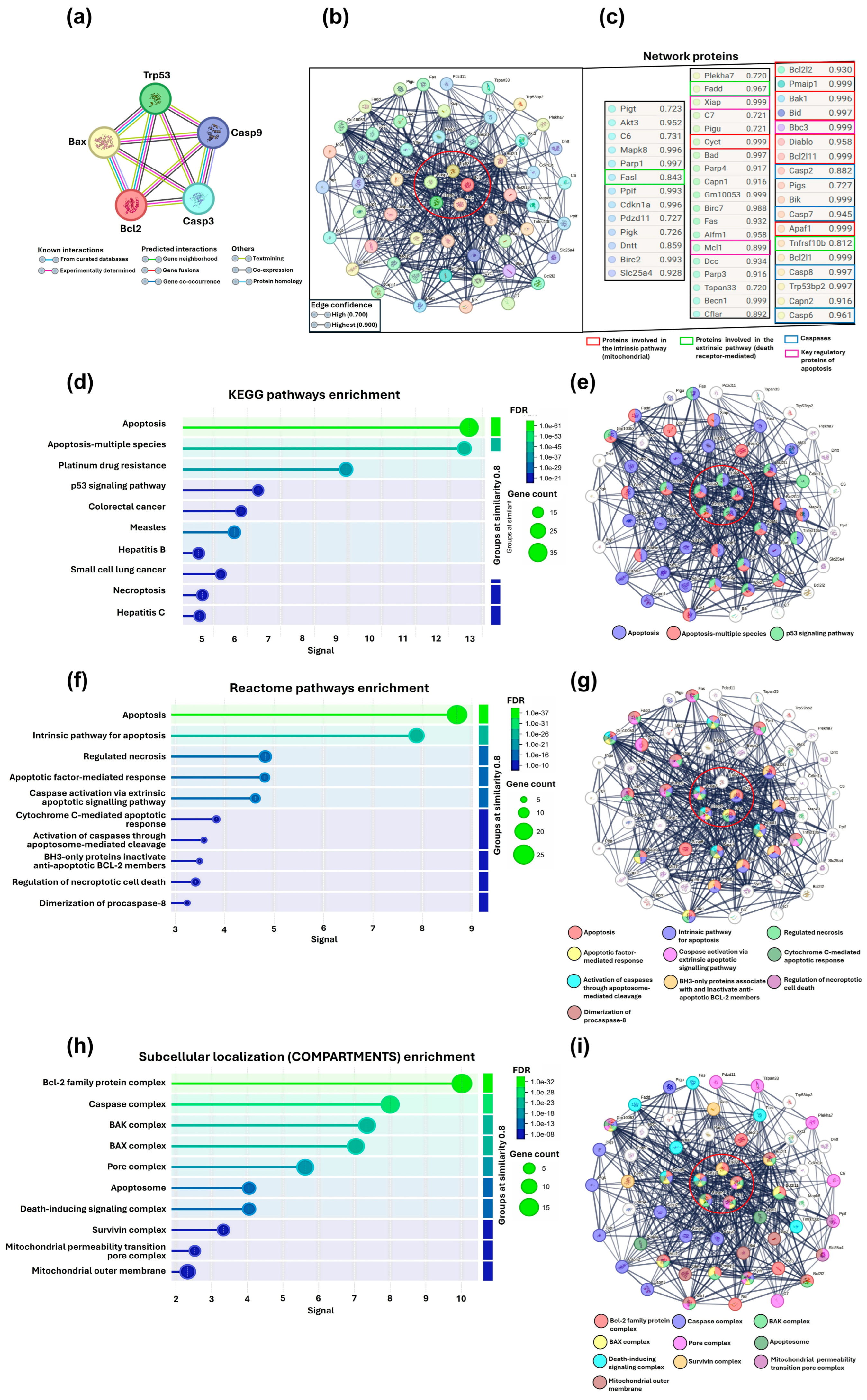 Pharmaceutics 17 00222 g009