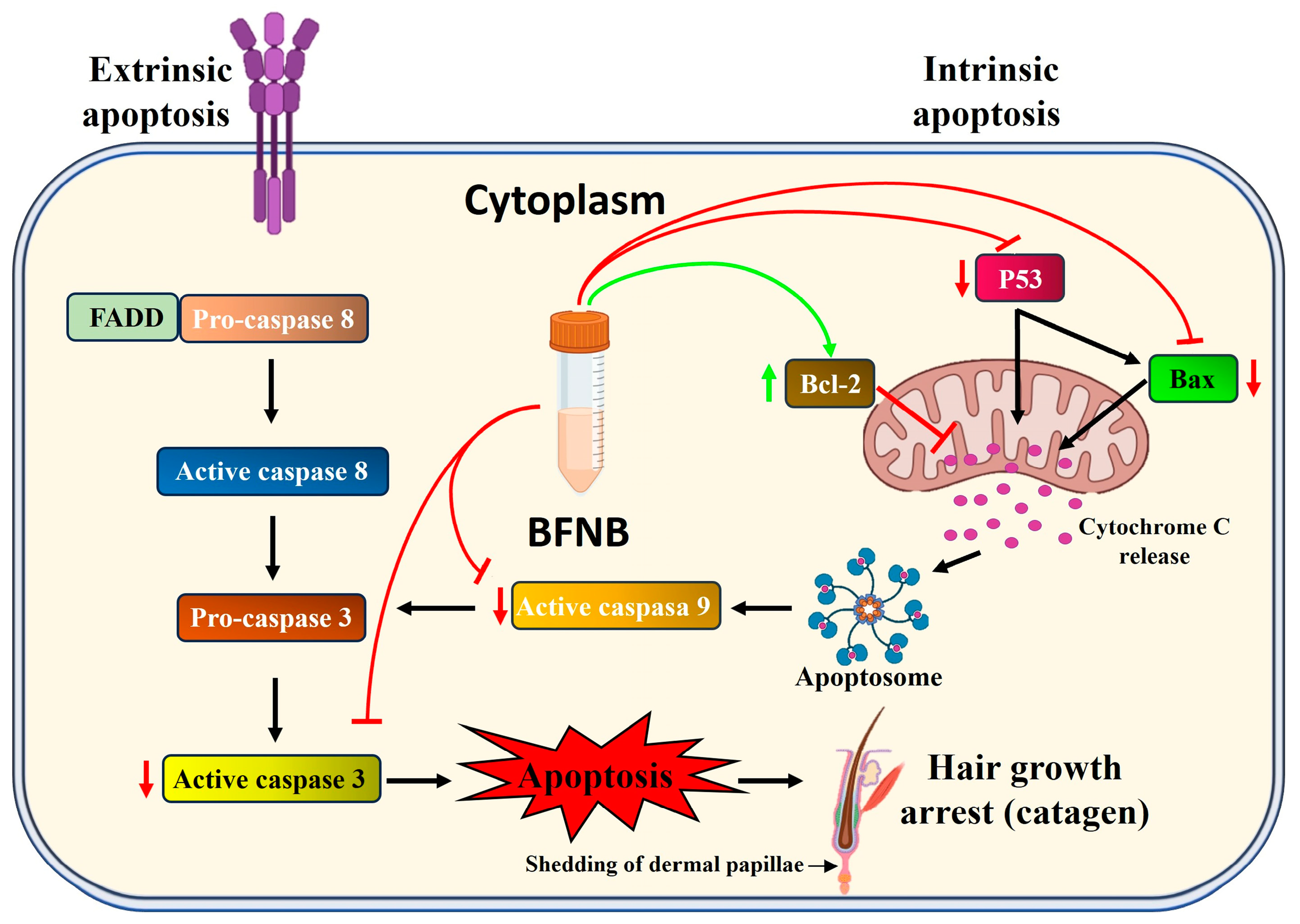 Pharmaceutics 17 00222 g010