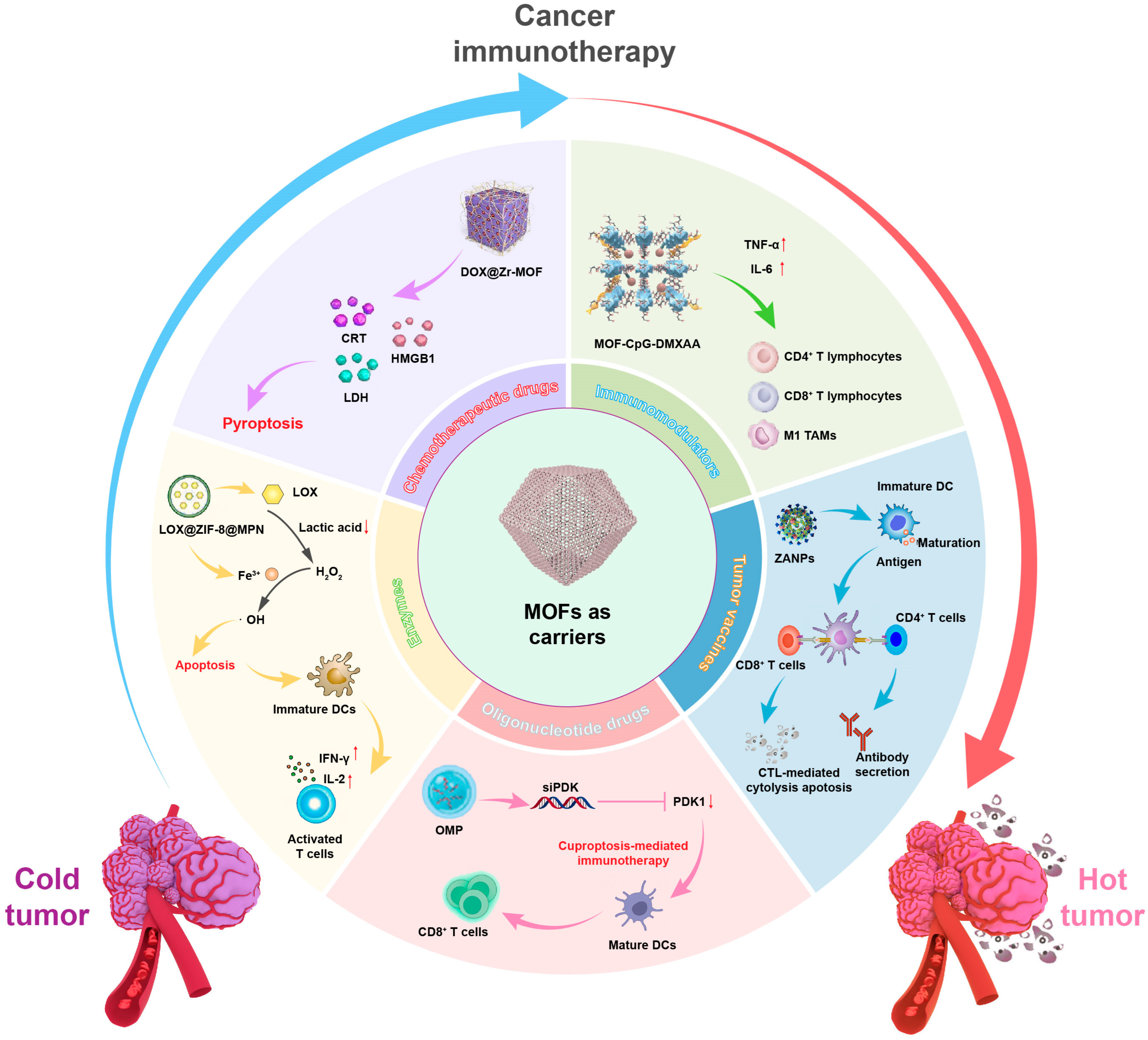 Pharmaceutics 17 00225 g002