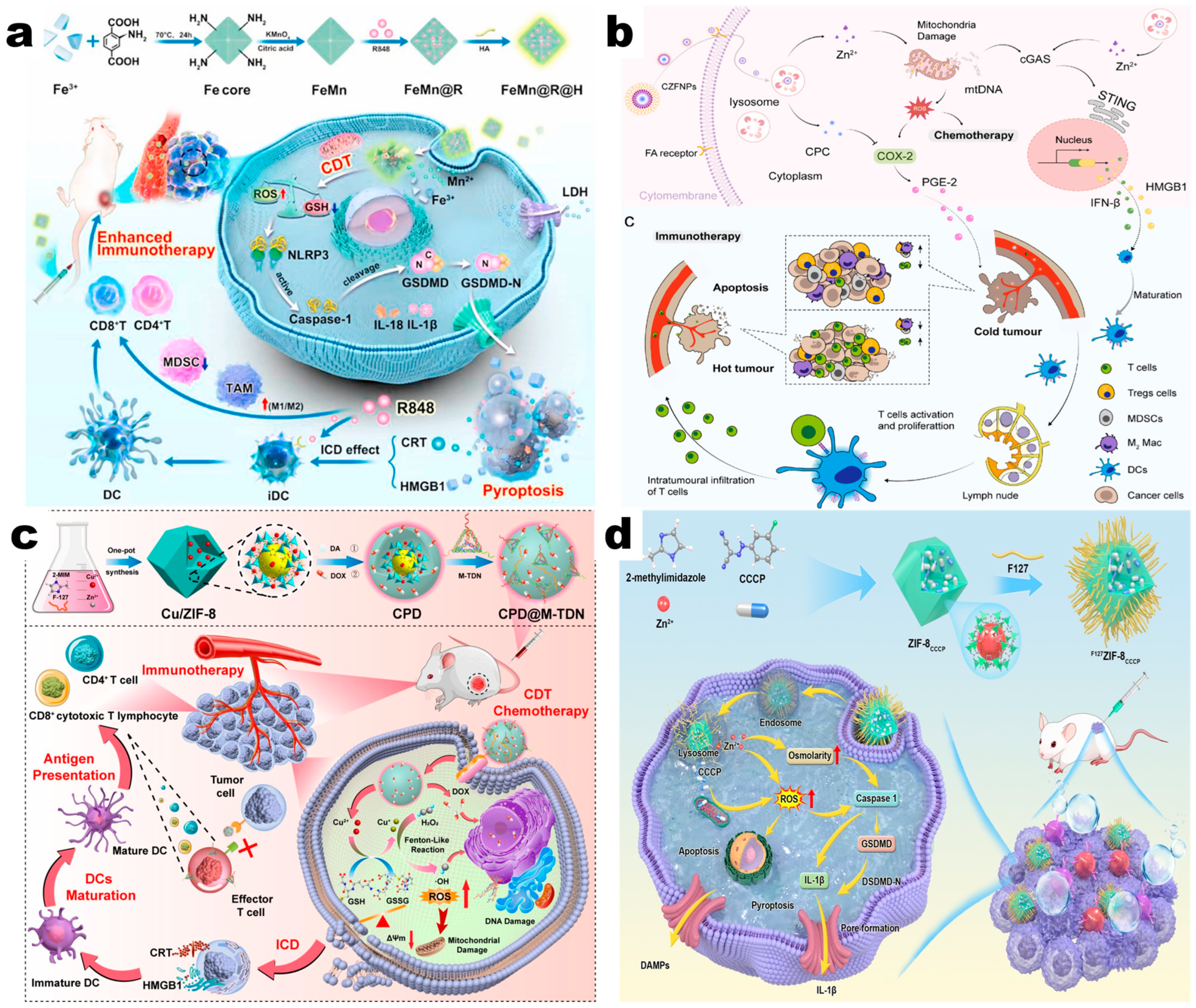 Pharmaceutics 17 00225 g005