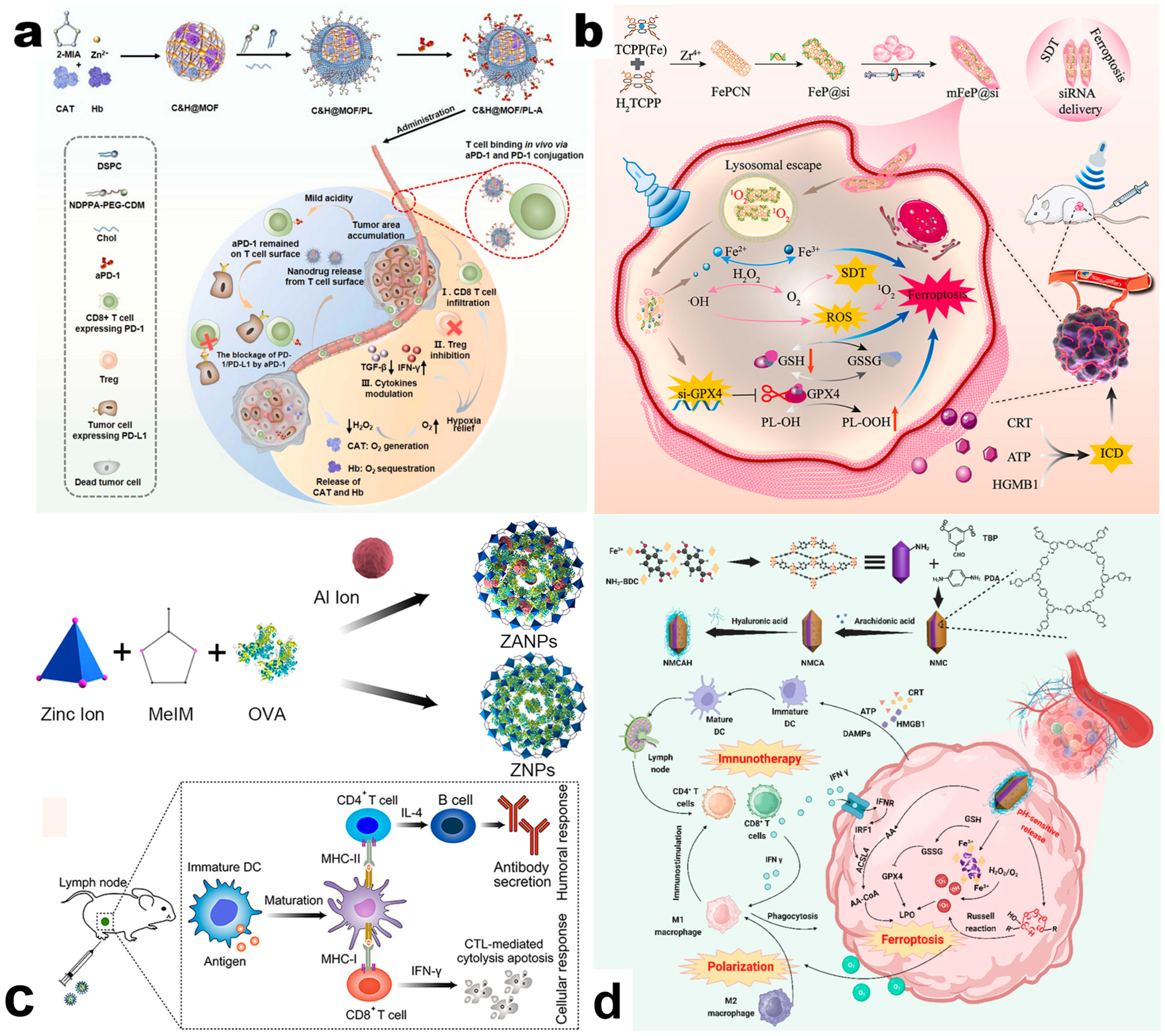 Pharmaceutics 17 00225 g006