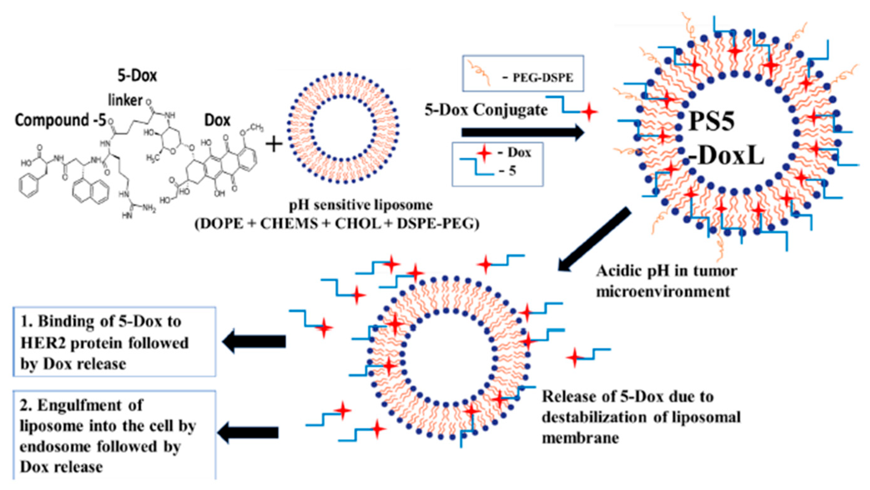 Pharmaceutics 17 00245 g003