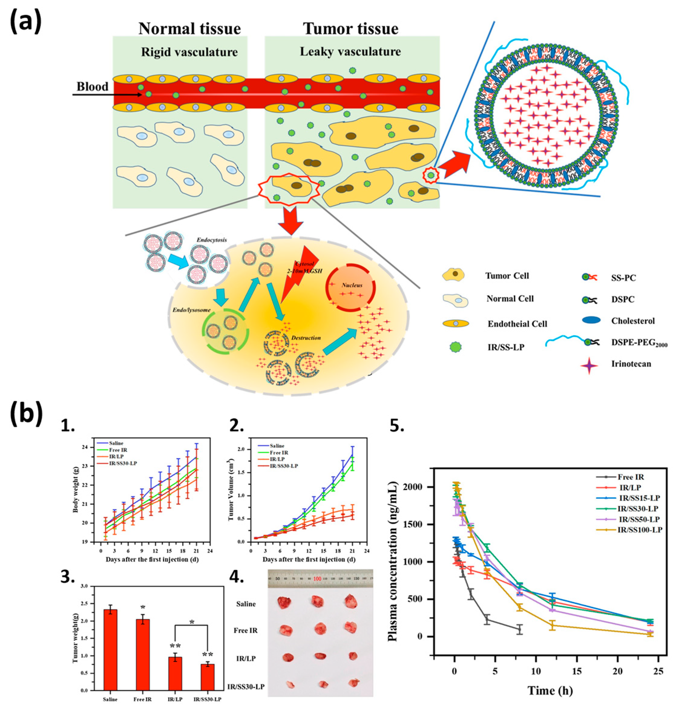 Pharmaceutics 17 00245 g004