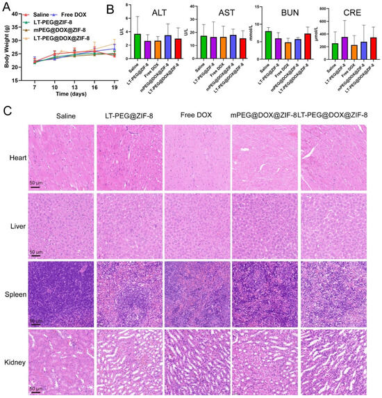 Novel Peptide-Modified Zeolitic Imidazolate Framework-8
