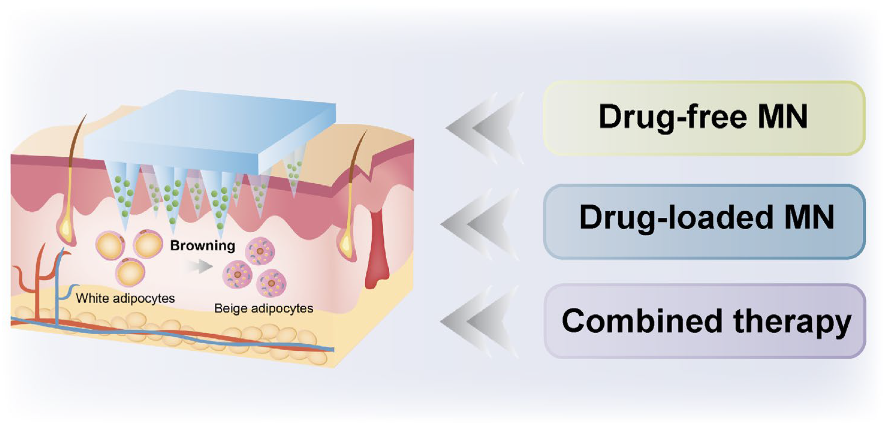 Pharmaceutics 17 00248 g001 Pharmaceutics 17 00248 g001
