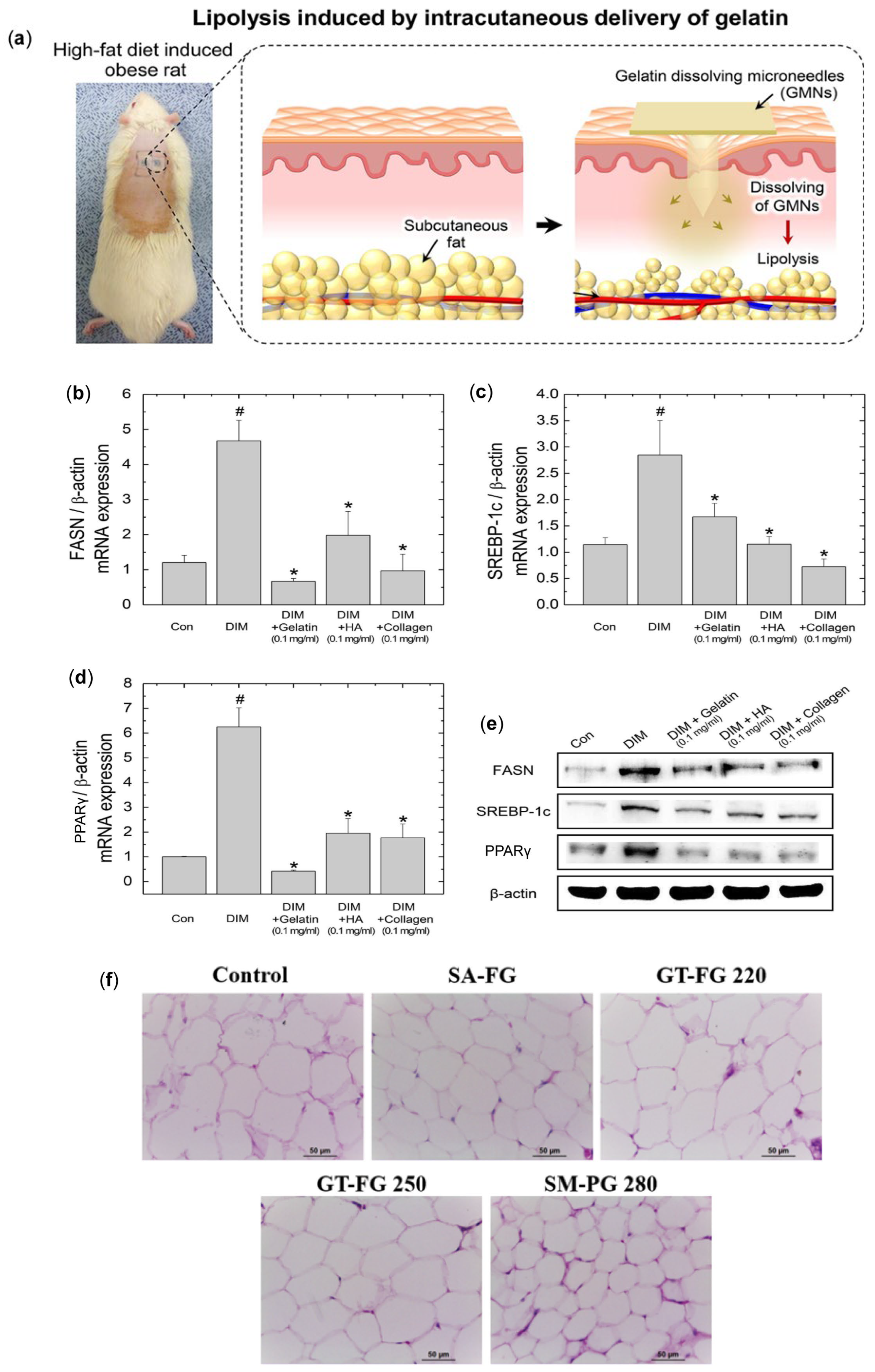 Pharmaceutics 17 00248 g002 Pharmaceutics 17 00248 g002