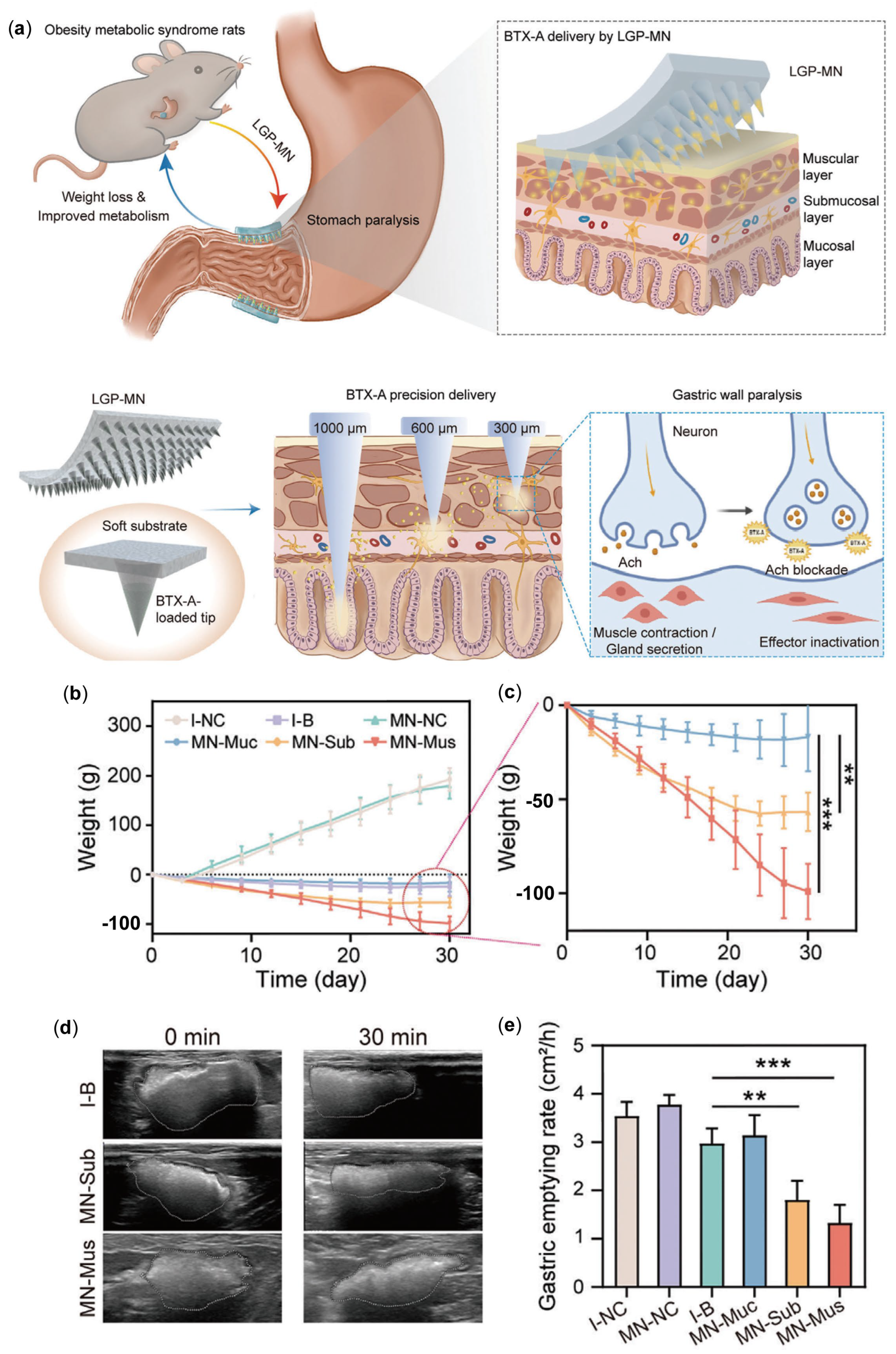 Pharmaceutics 17 00248 g004 Pharmaceutics 17 00248 g004