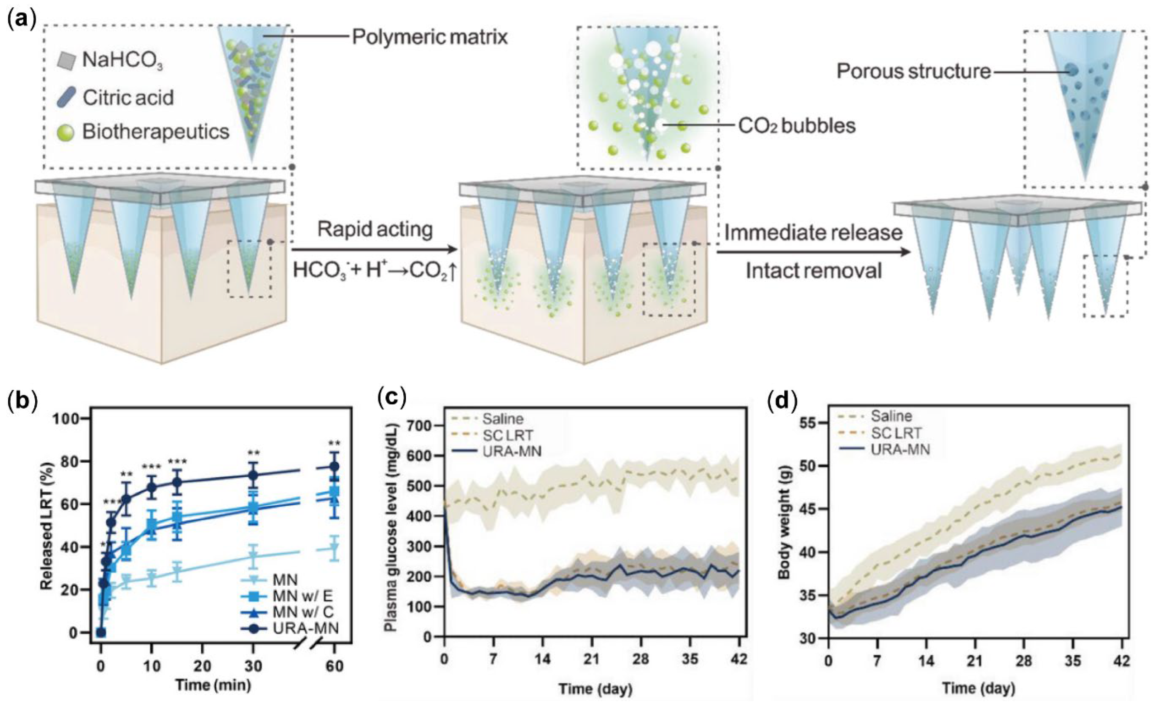 Pharmaceutics 17 00248 g007 Pharmaceutics 17 00248 g007