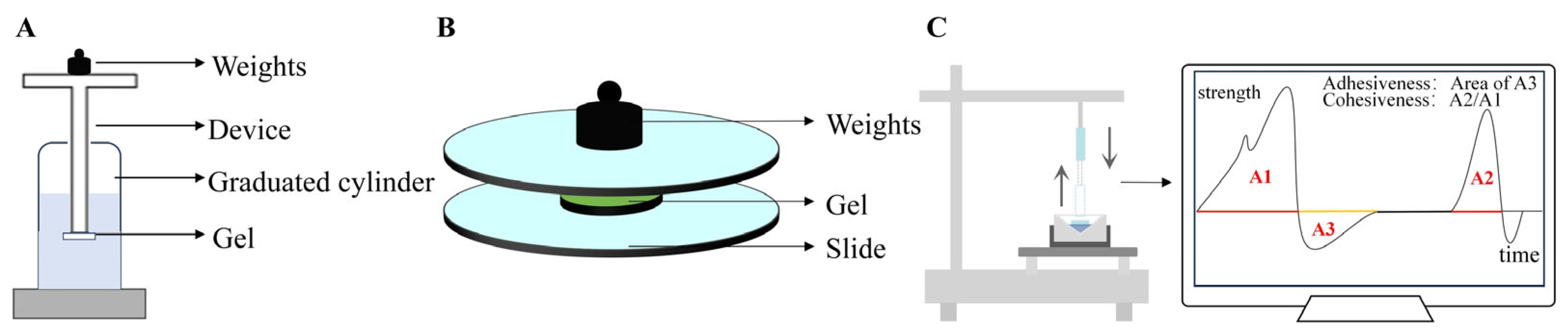 Pharmaceutics 17 00249 g008