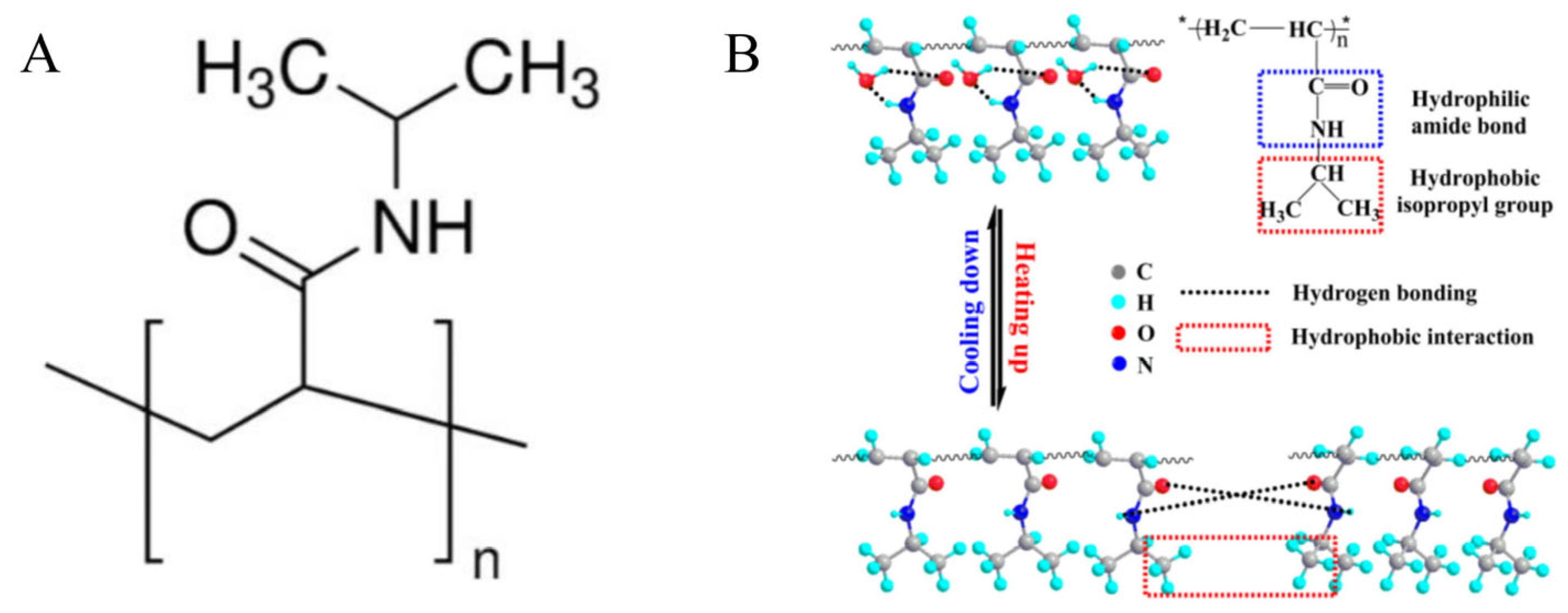 Pharmaceutics 17 00249 g010
