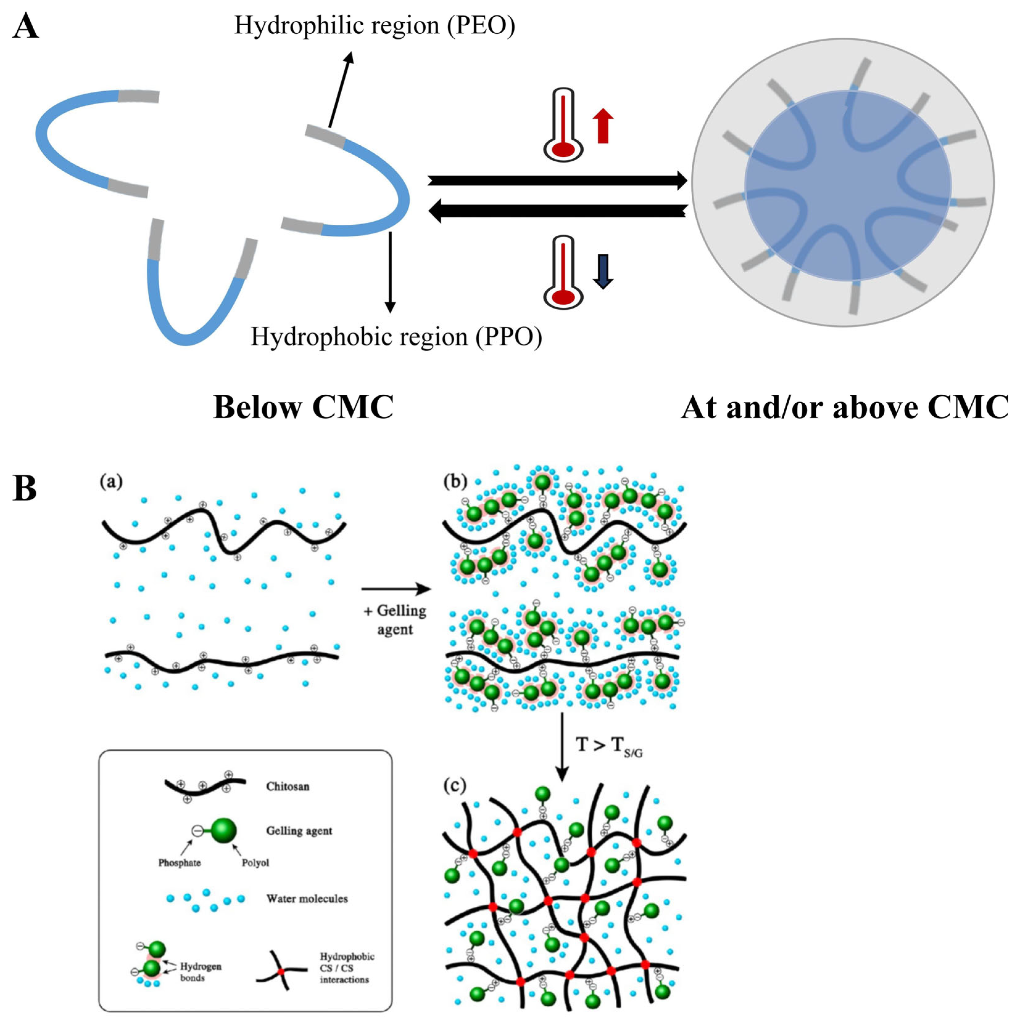 Pharmaceutics 17 00249 g011