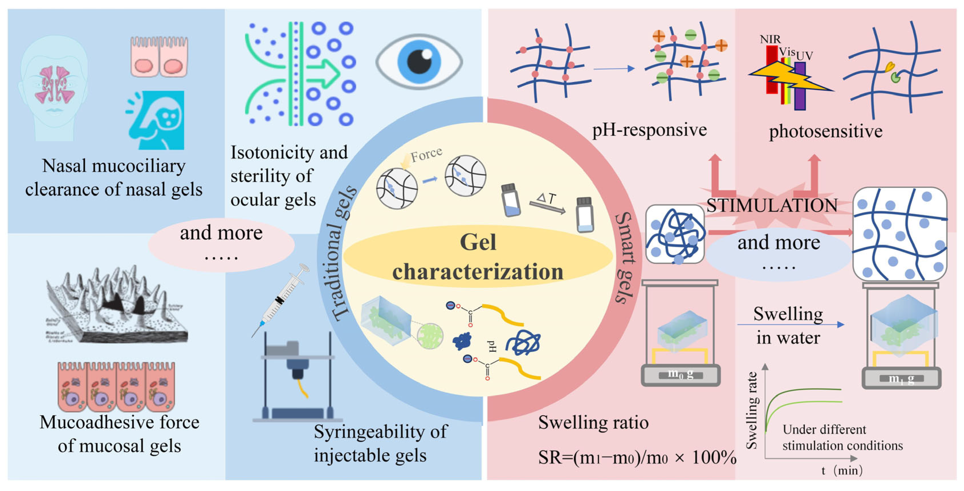 Pharmaceutics 17 00249 g012