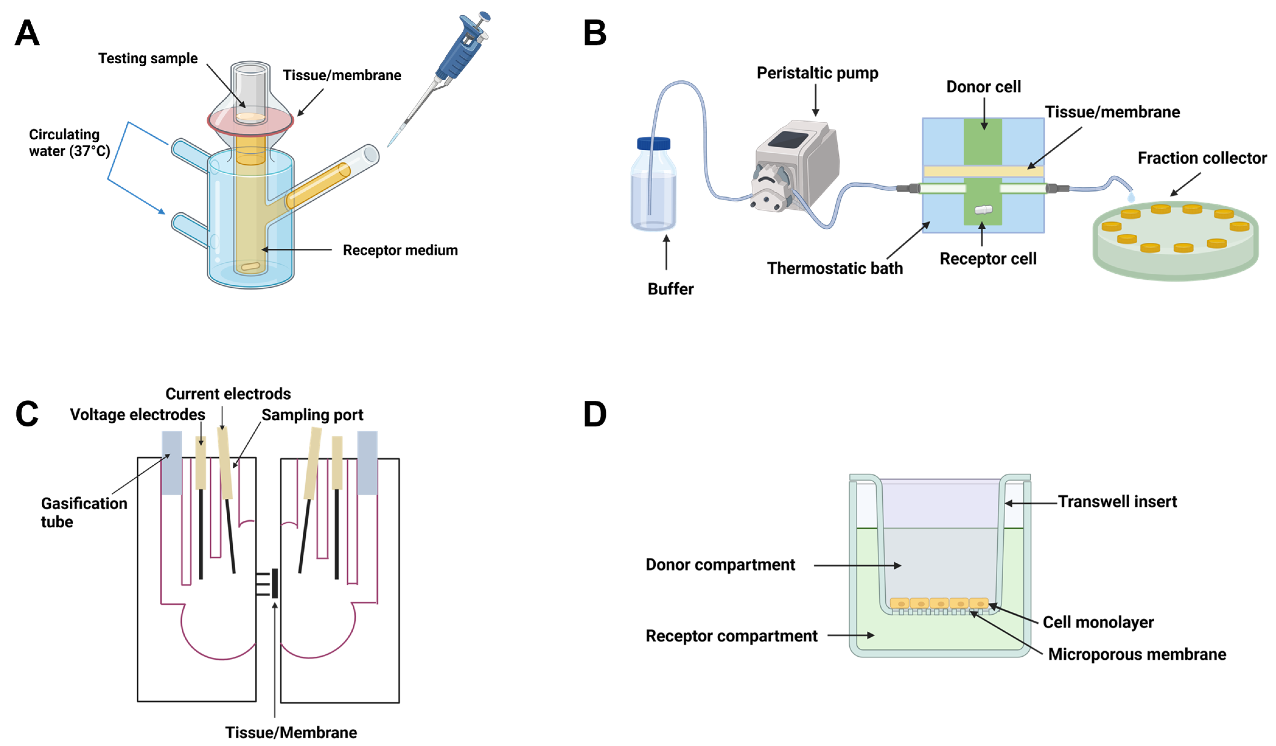 Pharmaceutics 17 00256 g002 Pharmaceutics 17 00256 g002